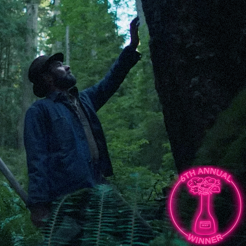 An empty movie theater with blue seats and eight men dressed as cardinals sitting separately throughout the theater, with a badge in the bottom right corner reading "The 5th Annual Dillweed Society Excellence in Film Awards Winner."