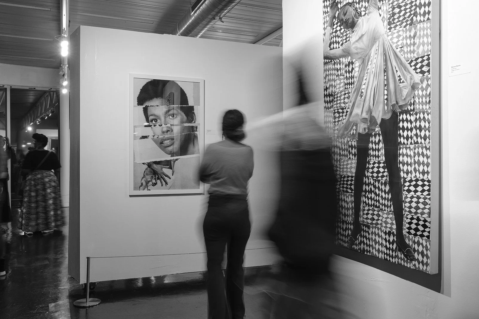 Houston Museum of African American Culture, Installation Views, "Transfiguration"
