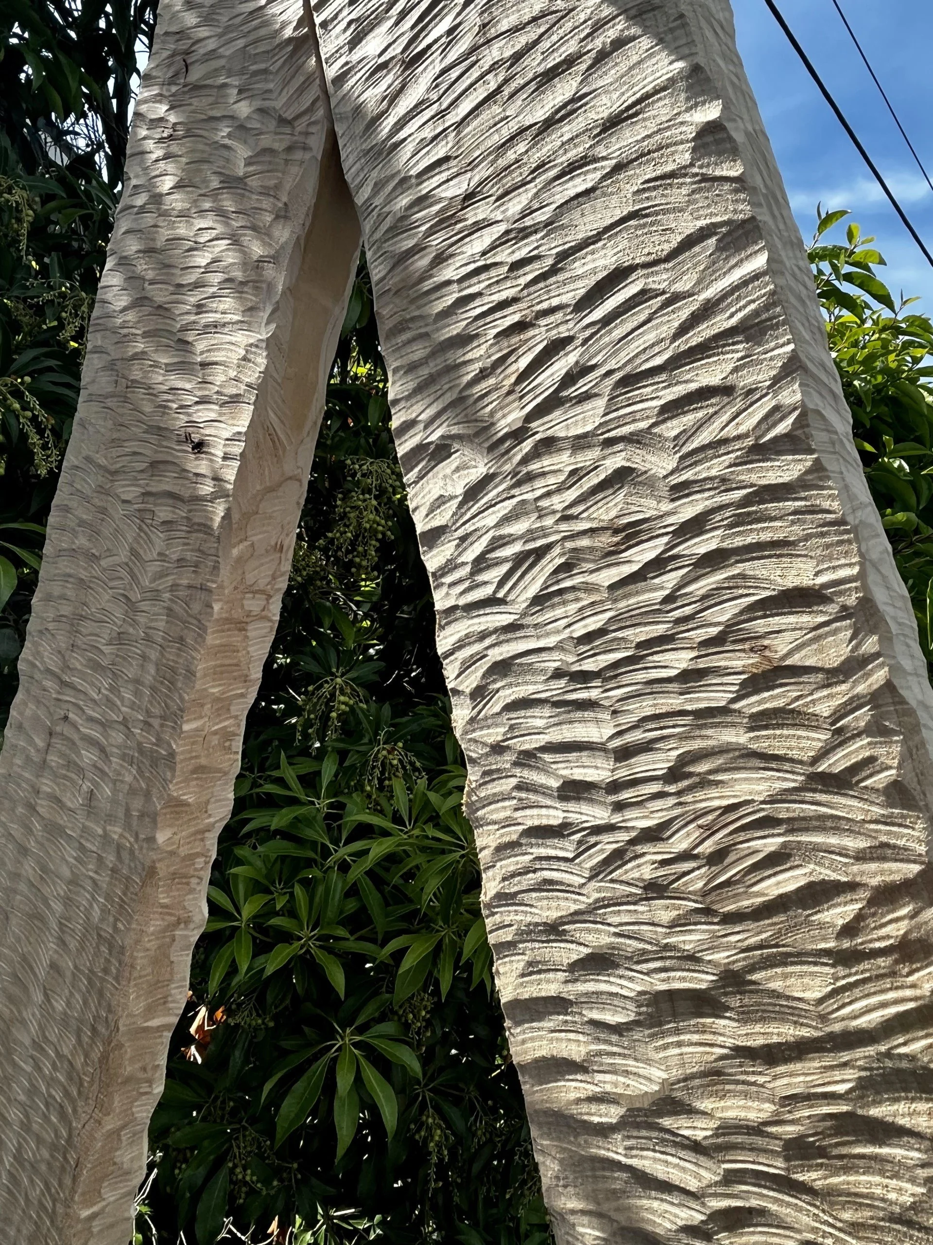 wood 3.jpg