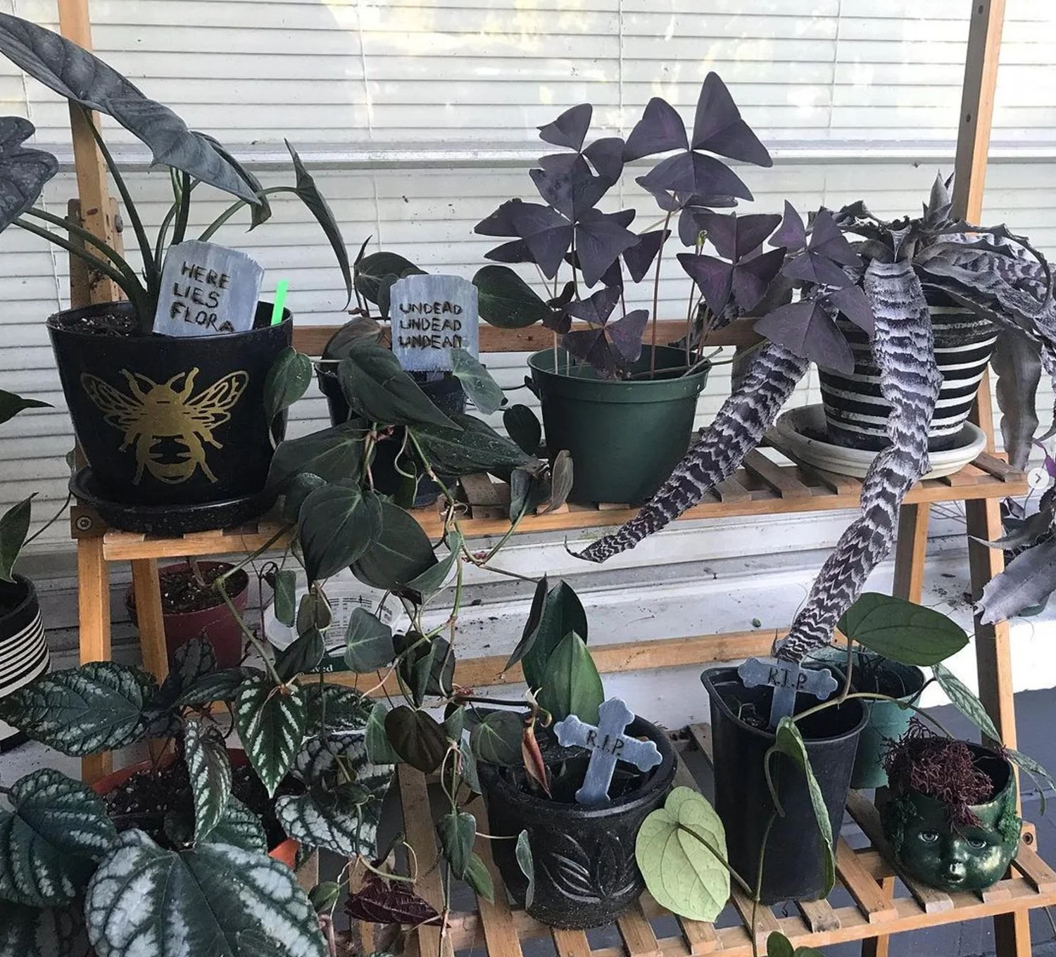 Black plants and spooky decor make a goth garden