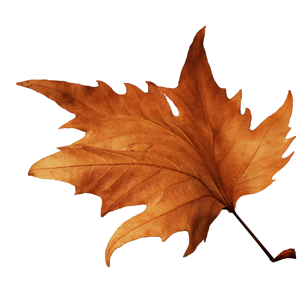 Big fall goals?