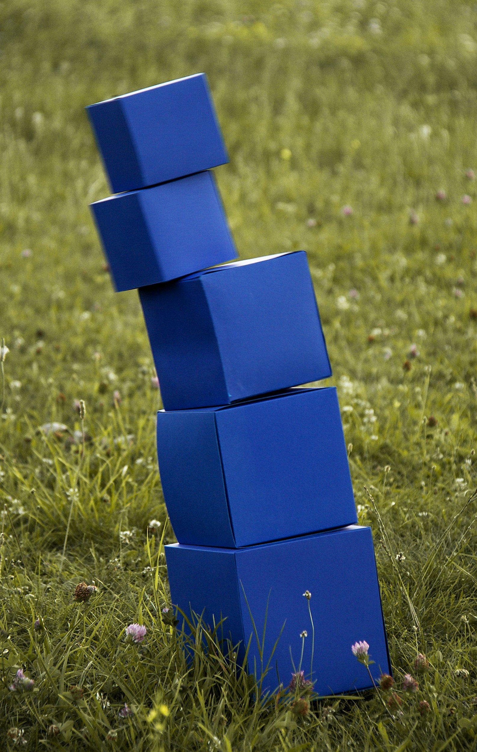 Why Successful Business Owners Still Feel Trapped by Their Businesses