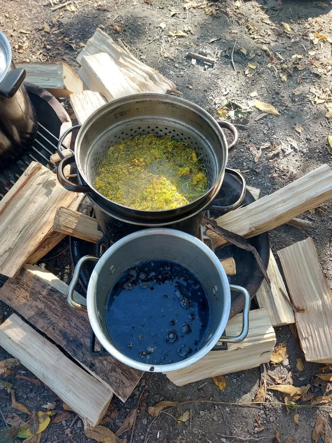 This week was full of colour at Earth Explorers. We created natural dyes and paints with Black walnut, Goldenrod, Buckthorn berries and wild grapes. The colours Allah has created around us are amazing.
Using nature to create hues and design something