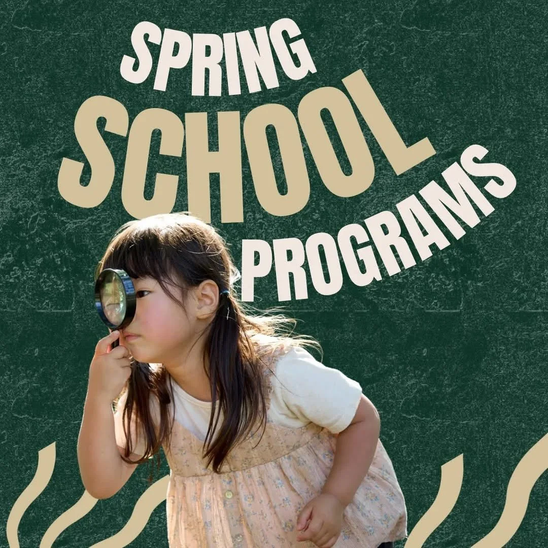 Field trip bookings at EarthSteps are open for spring! 

Bring your Islamic school class or homeschool group for an immersive outdoor learning experience with an Islamic focus.

We have added more workshops for a wider age range. Our fall workshops w