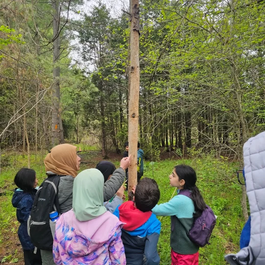 Our Earth Explorers have been busy the last few weeks: Science experiments, crafts, orienteering, cooking. Journaling, engineering, hiking, examining critters and absorbing Allah's signs around us. Alhamdulillah 

#Outdoorlearning #natureeducation #f
