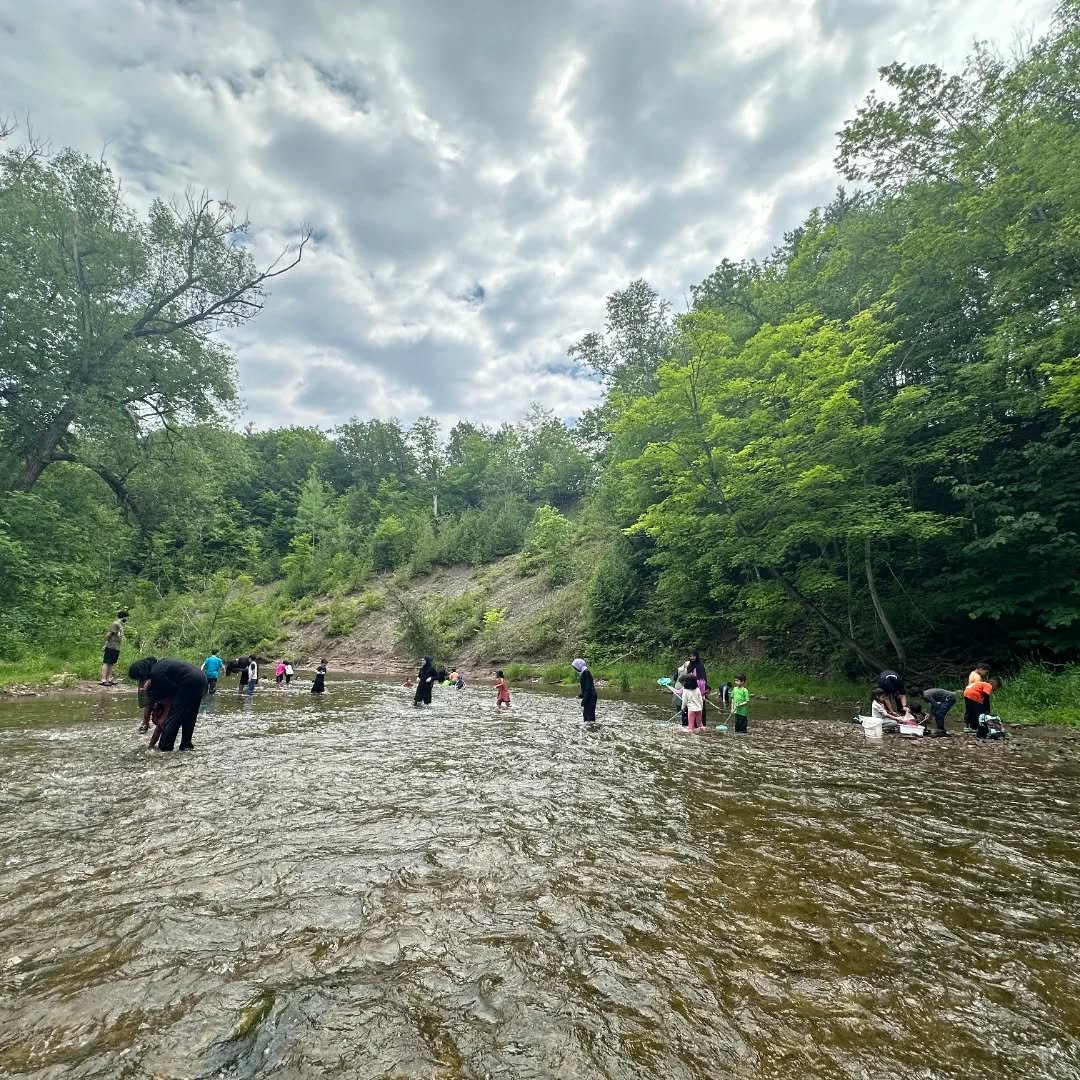This is how childhood is supposed to be, carefree and wholesome, immersed in nature. Today the kids were splashing in the river, squealing over crayfish, eating lunch  on the rocks together in the water. Sounds of joy and laughter and pure delight at