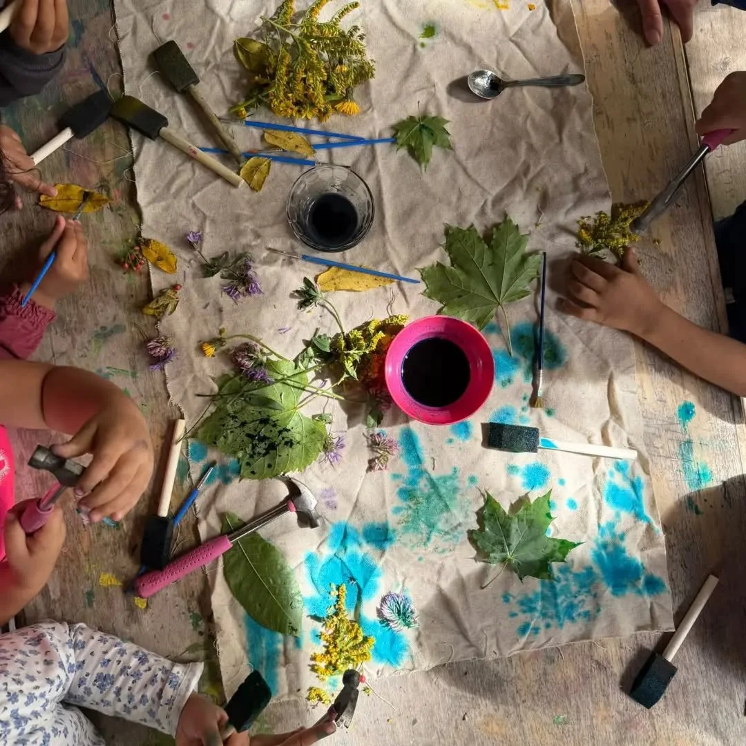 This week's theme was Nature's Colours. We foraged and processed black walnut, goldenrod, wild grapes, buckthorn berries, and spruce to create natural dyes. The kids painted and dyed fabrics  to create beautiful pieces of art using the colours Allah 