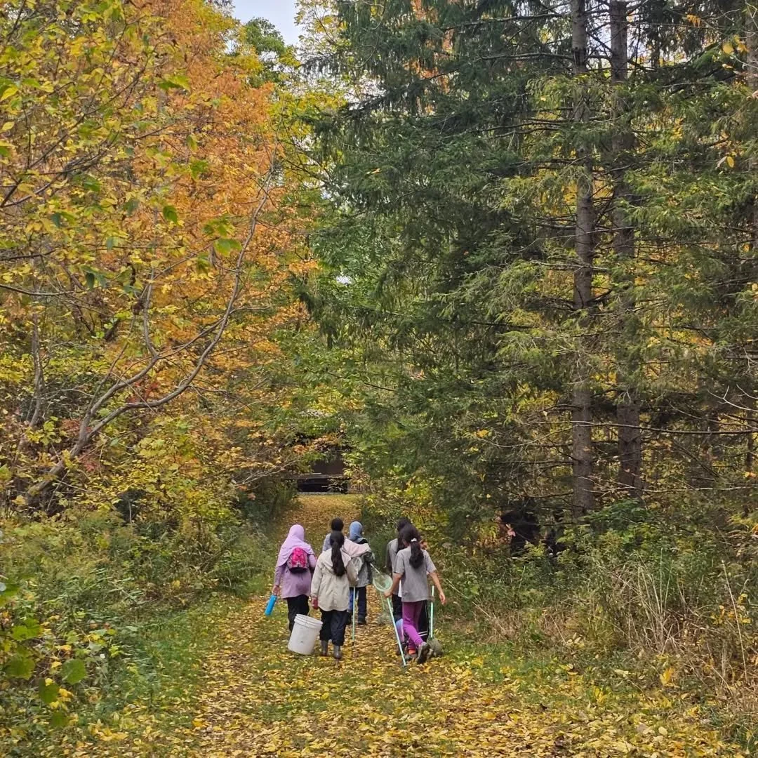 This week's Earth Explorers was buzzing with activity.
Our Beavers learned about butterfly migration.
Our Owls foraged, processed and cooked with Sumac.
Our Foxes made bee hotels for bees to shelter in
Our Eagles learned about snakes and caught tons 