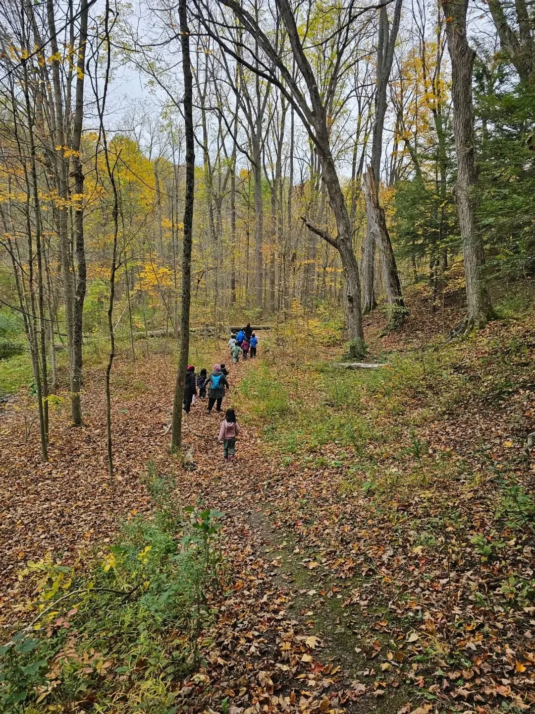 This week at Earth Explorers we all felt the serenity and calm of the changing seasons. Our bodies and minds adapt to the changes around us if we immerse ourselves in the natural rhythm of nature. We automatically strengthen our connection to Allah w