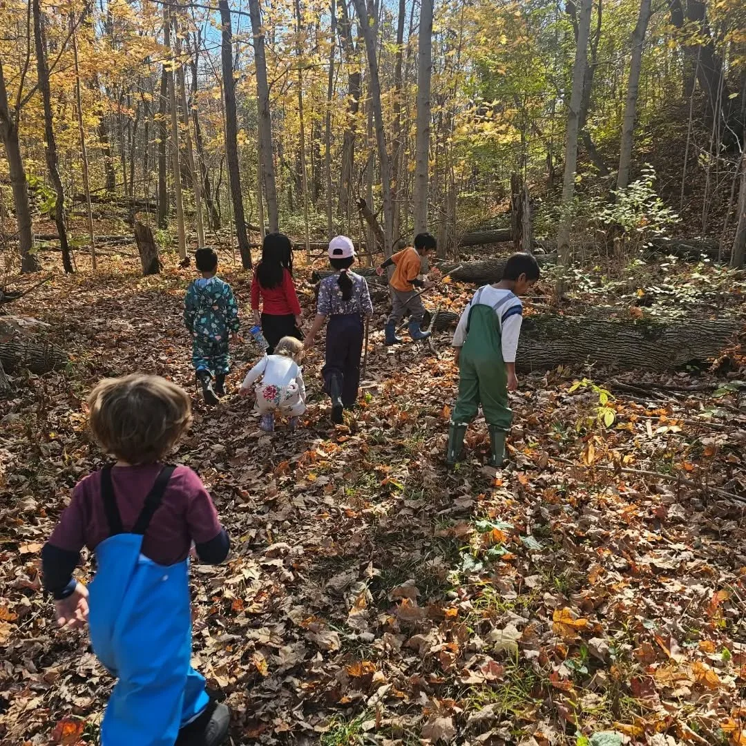 Scenes from this week's Earth Explorers:  Cooking, painting with natural dyes, cloud study, fire building and lots of games, hikes, reflections and exploration. 

Subjects covered: science, geography, literature, art, family studies,  woodworking, ph