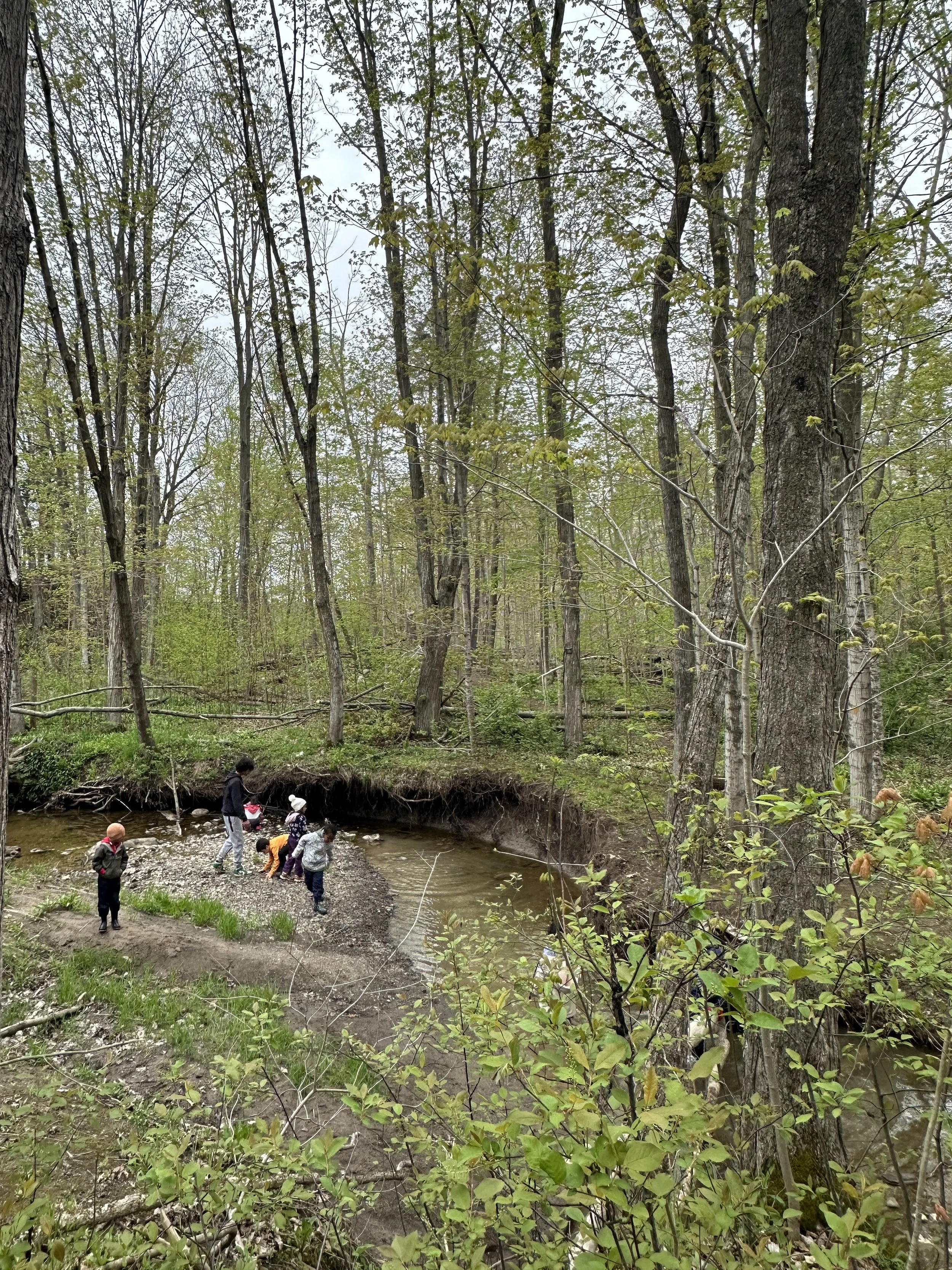 Cubs Parent and Tot Spring 2026, THURSDAYS (Ages 2 to 4)