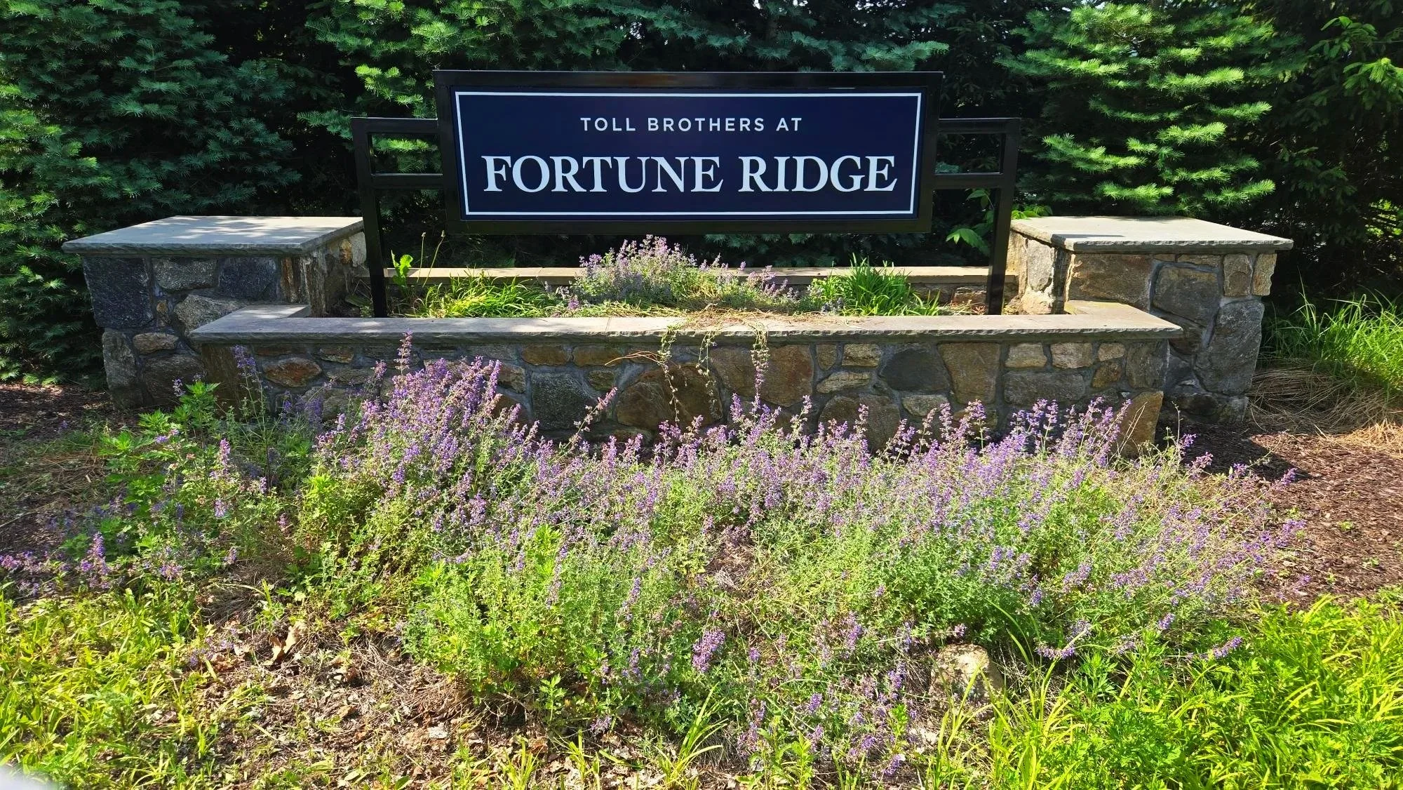 Toll Brothers at Fortune Ridge sign on top of a brick wall and platform behind some lovely purple flowers