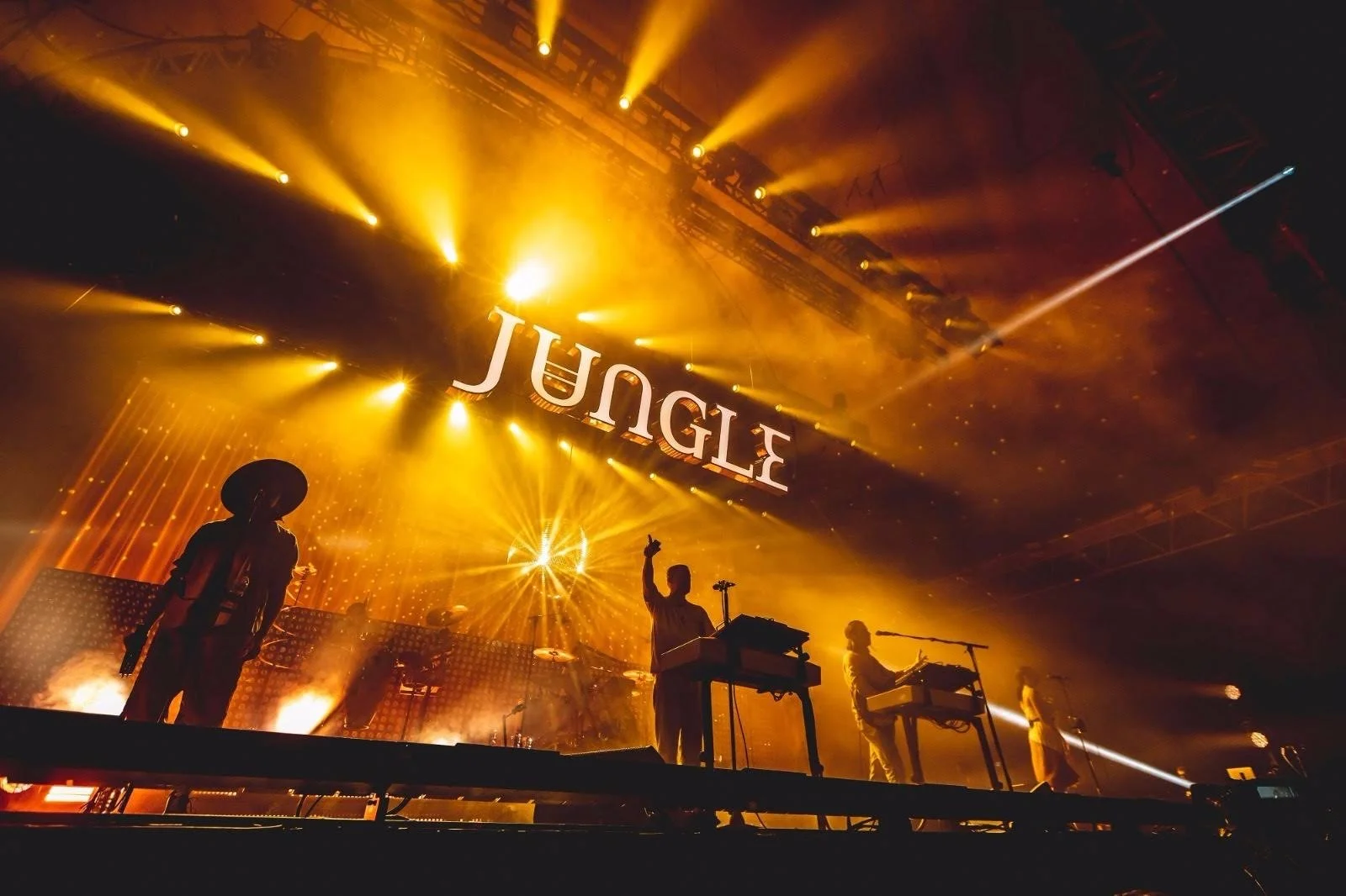 Jungle