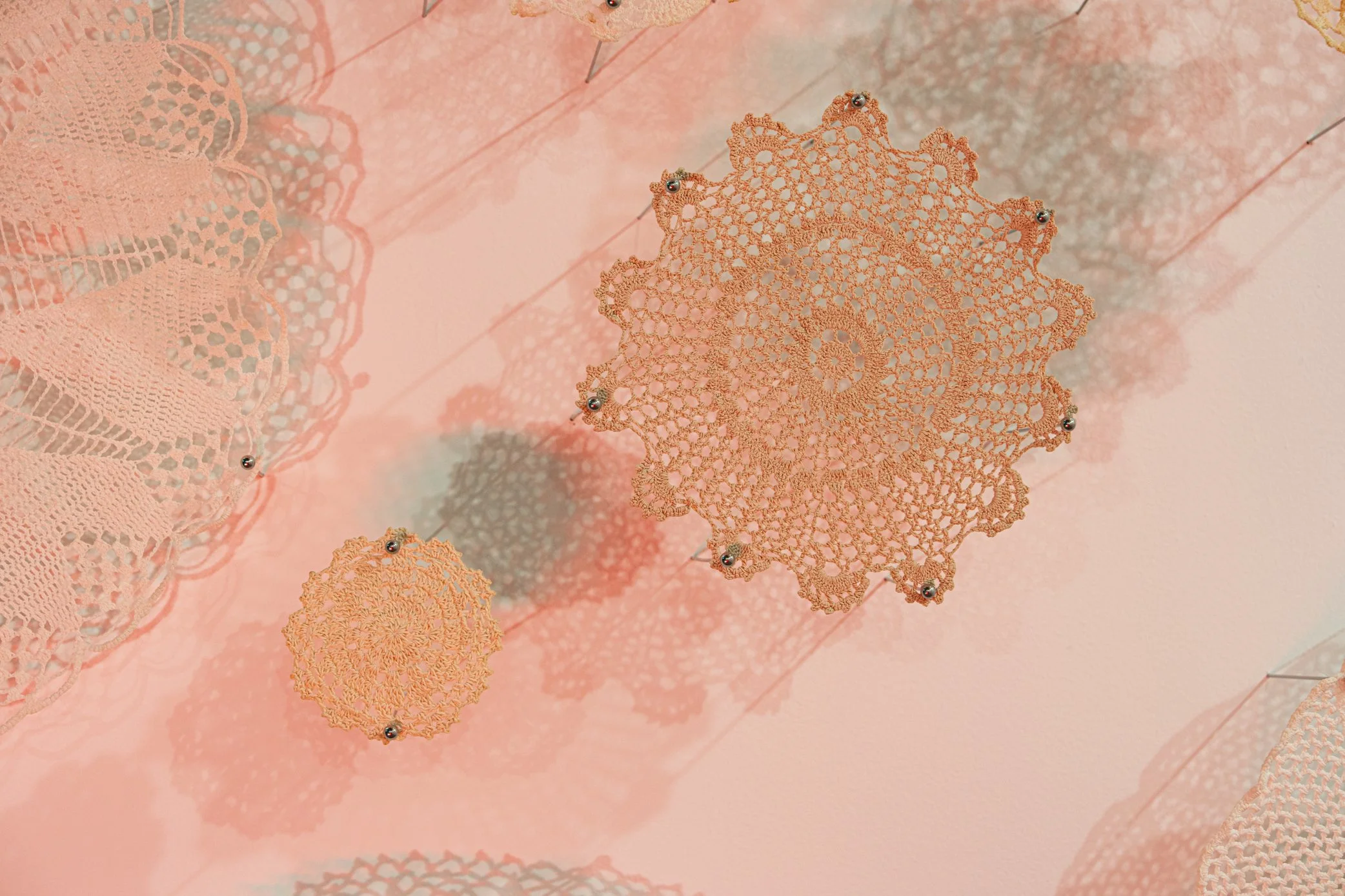 Hambidge Hive Sony-187.jpg