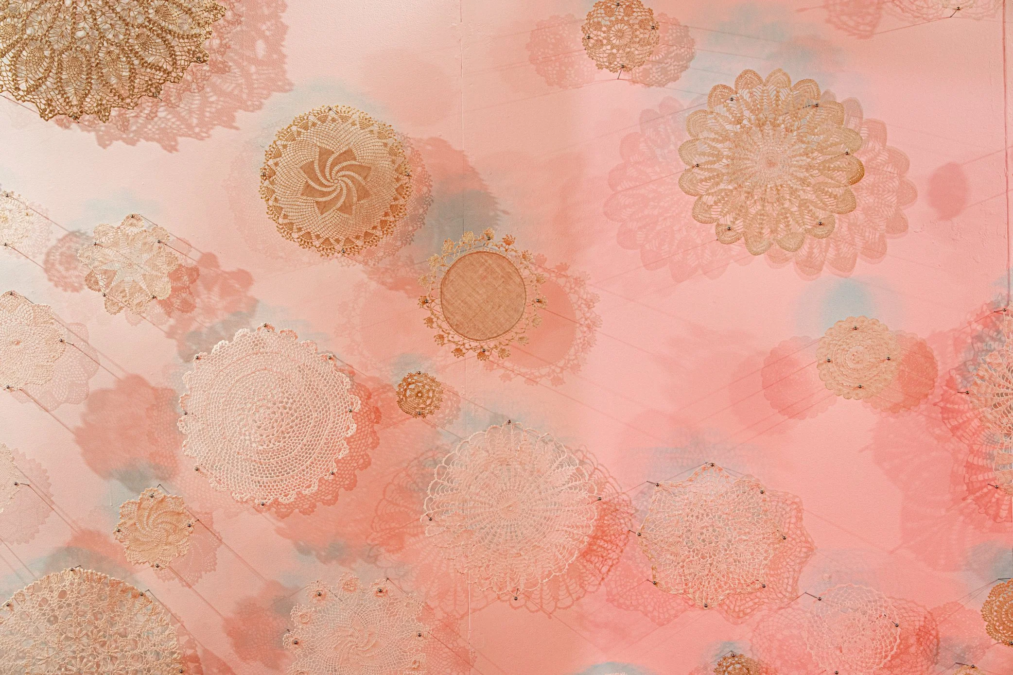 Hambidge Hive Sony-112.jpg