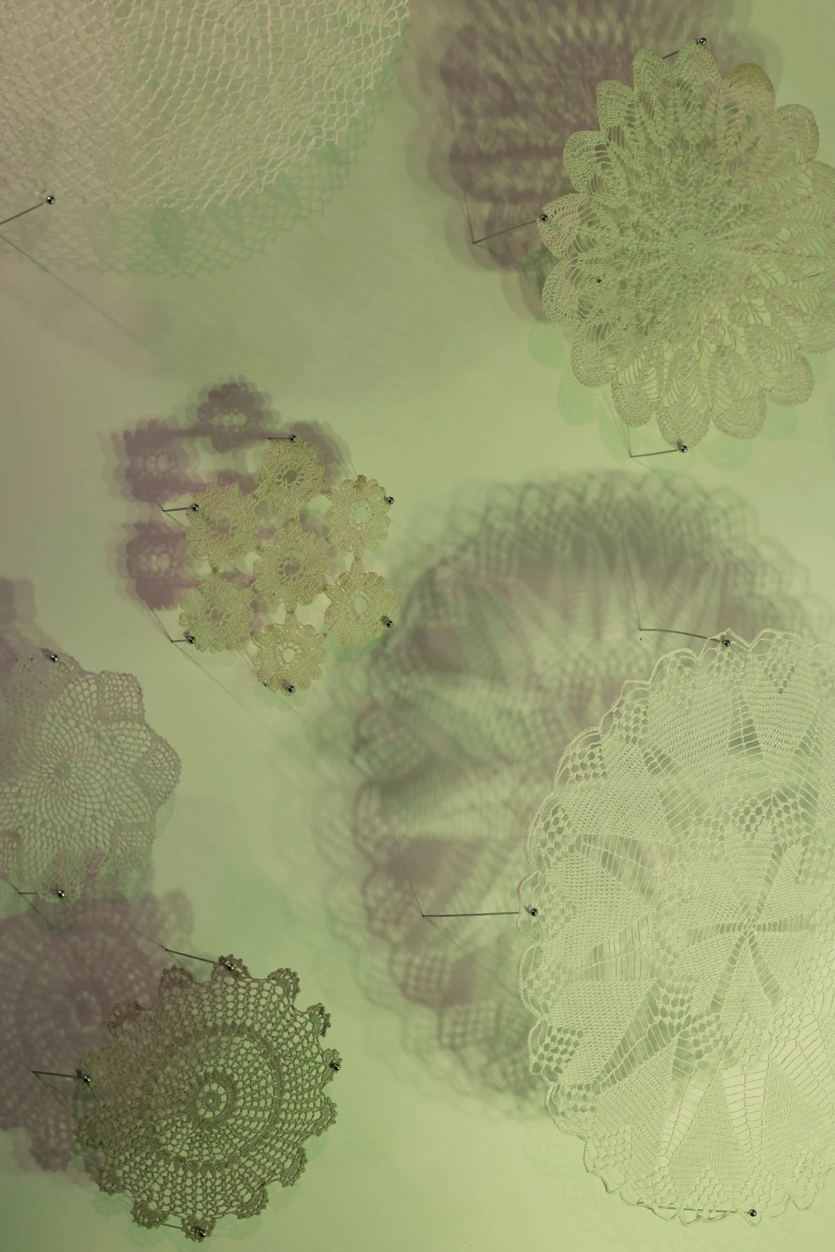 rc2025066_0135_F_web.jpg