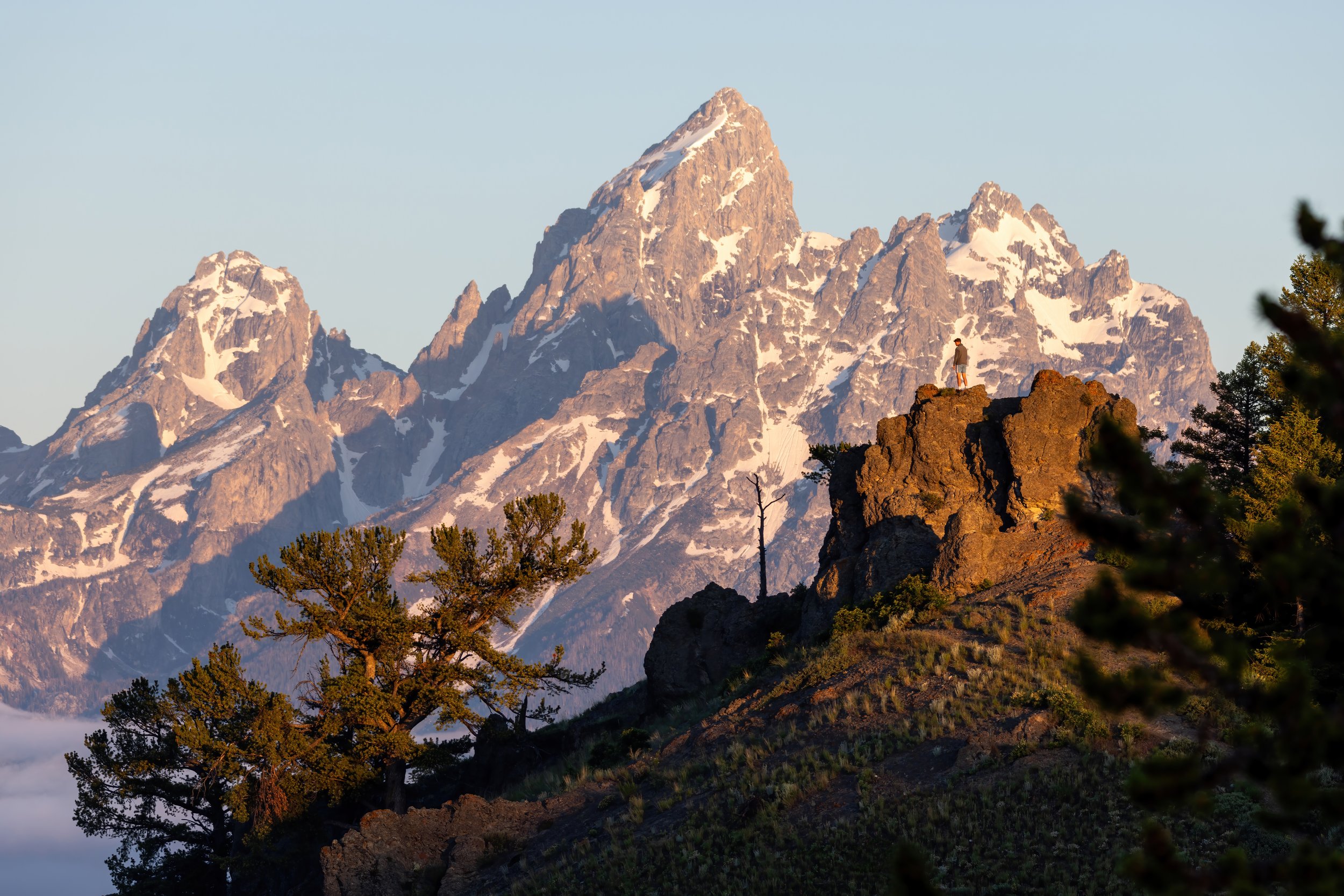 Triangle X-Jack-DeNoiseAI-standard.jpg