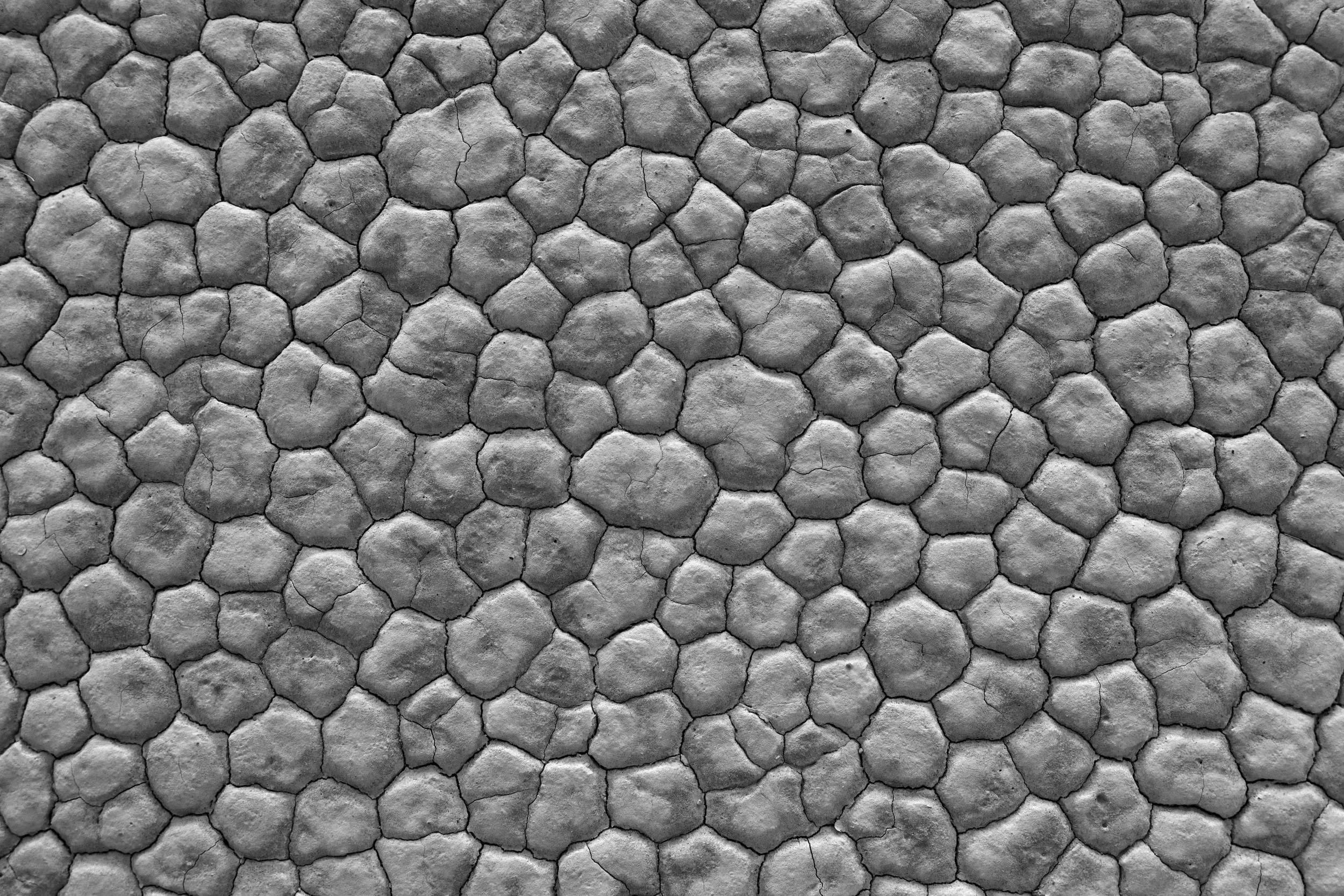 "Scales of the Earth" - in BnW