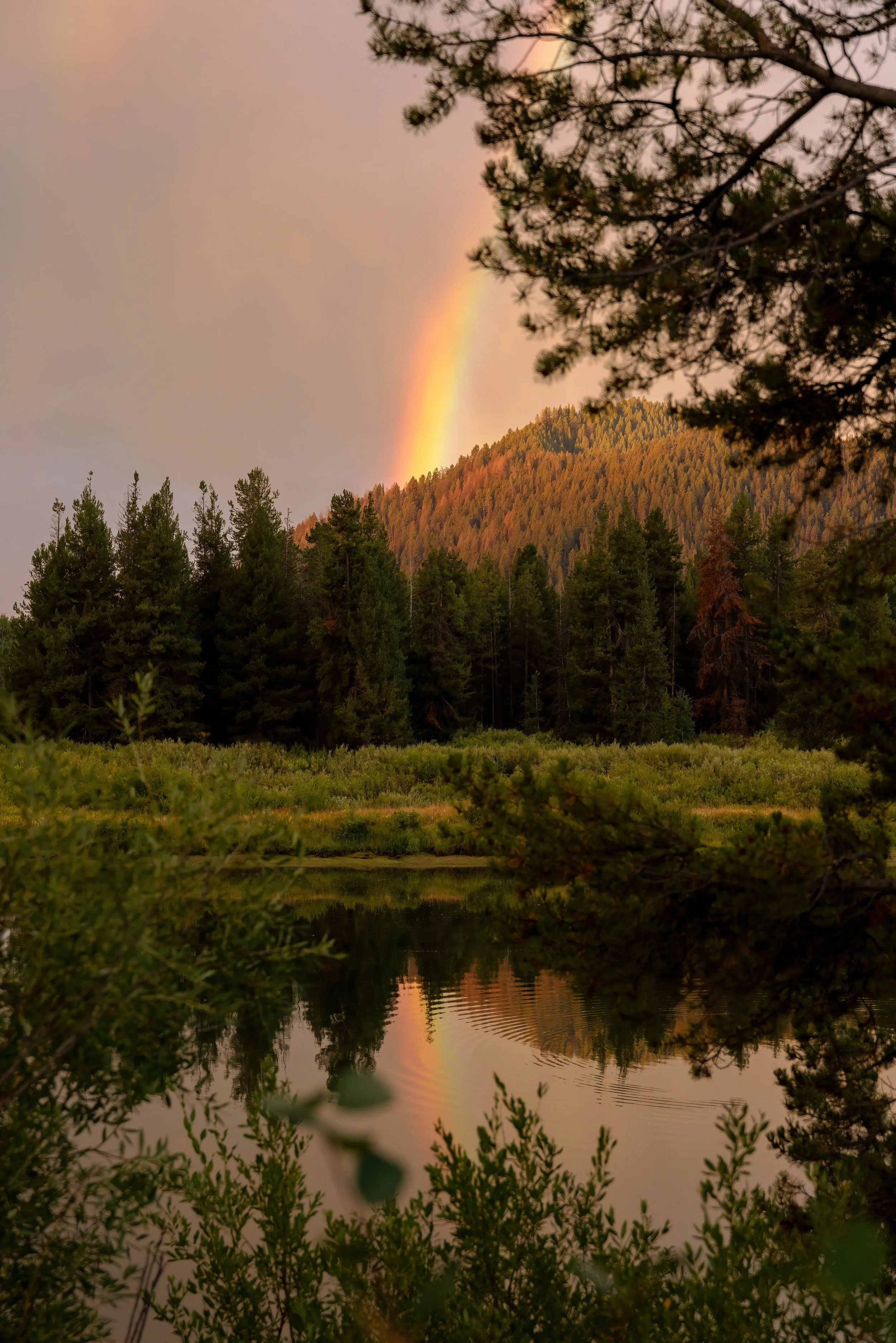 Rainbow 2024 Oxbow-DeNoiseAI.jpg