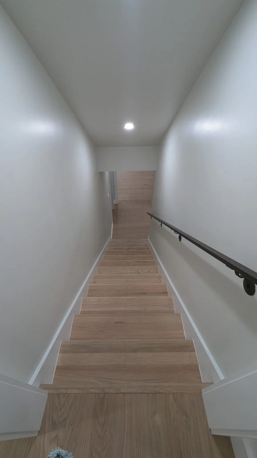 Pro-Realty Eco Cleaning Solutions San Francisco Bay Area (64).jpg