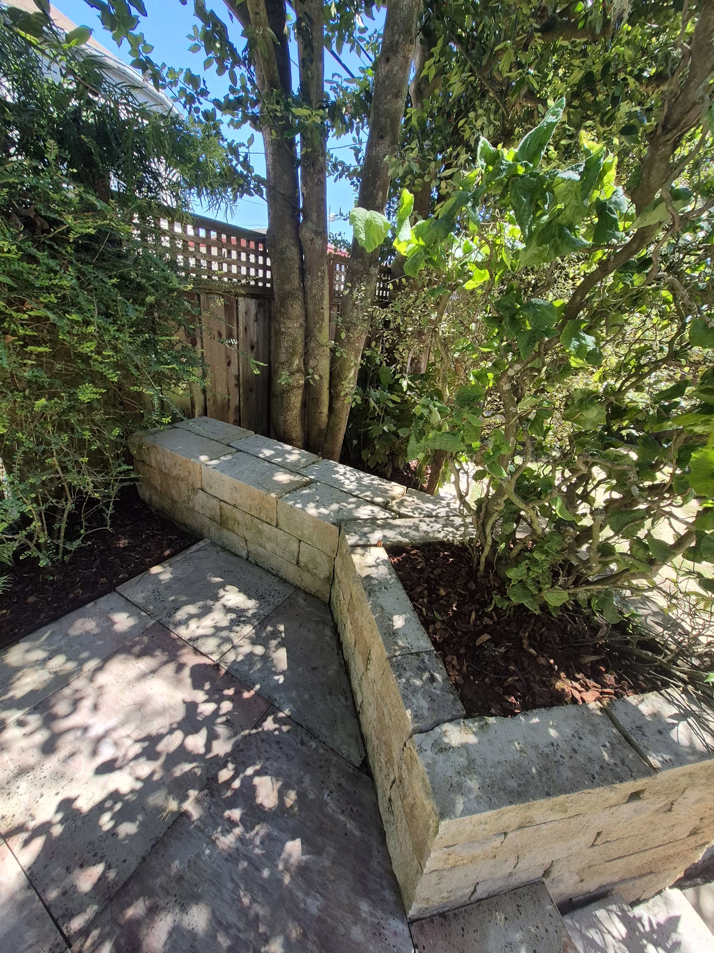 Pro-Realty Eco Cleaning Solutions San Francisco Bay Area (6).jpg