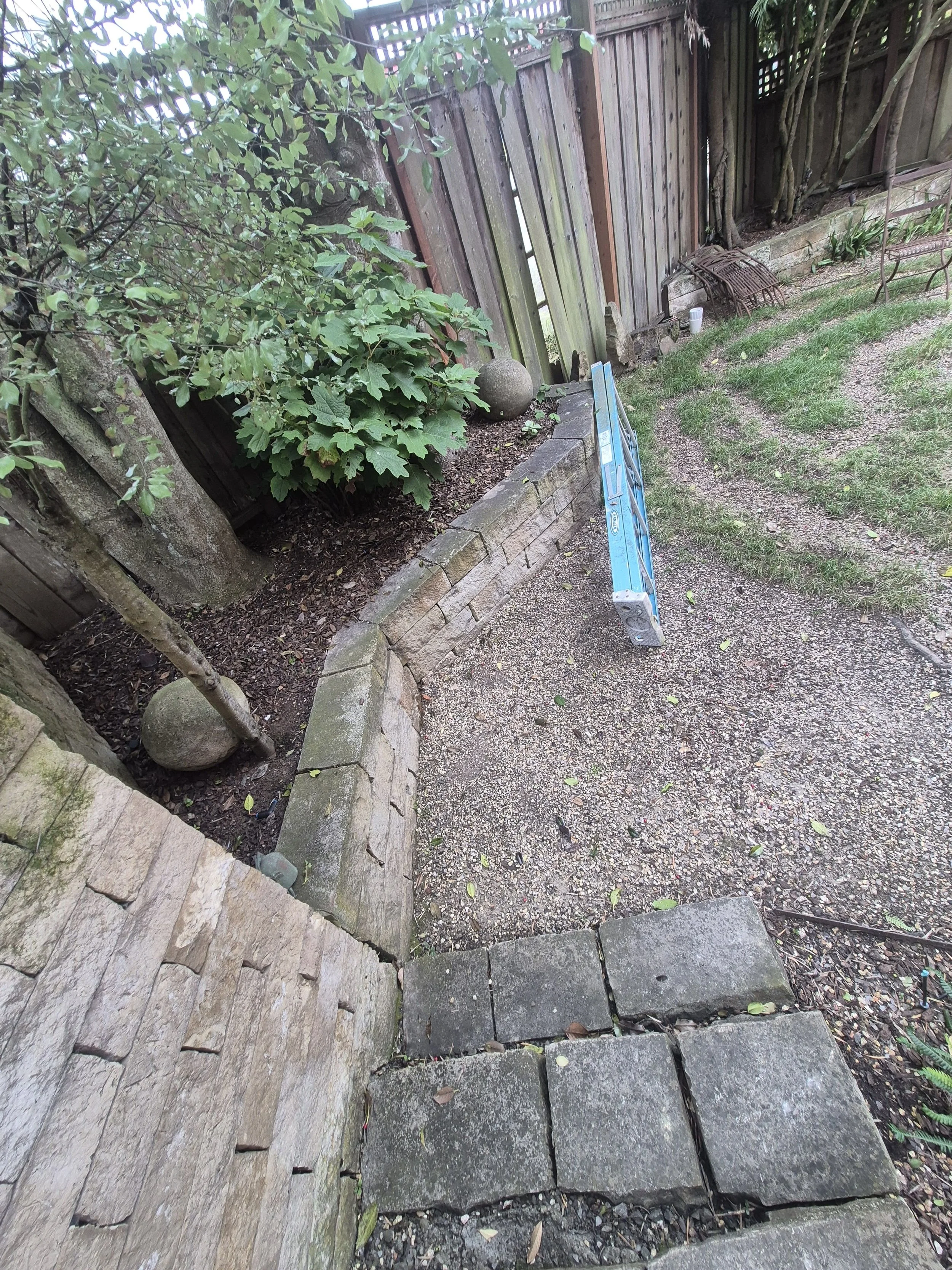 Pro-Realty Eco Cleaning Solutions San Francisco Bay Area (116).jpg