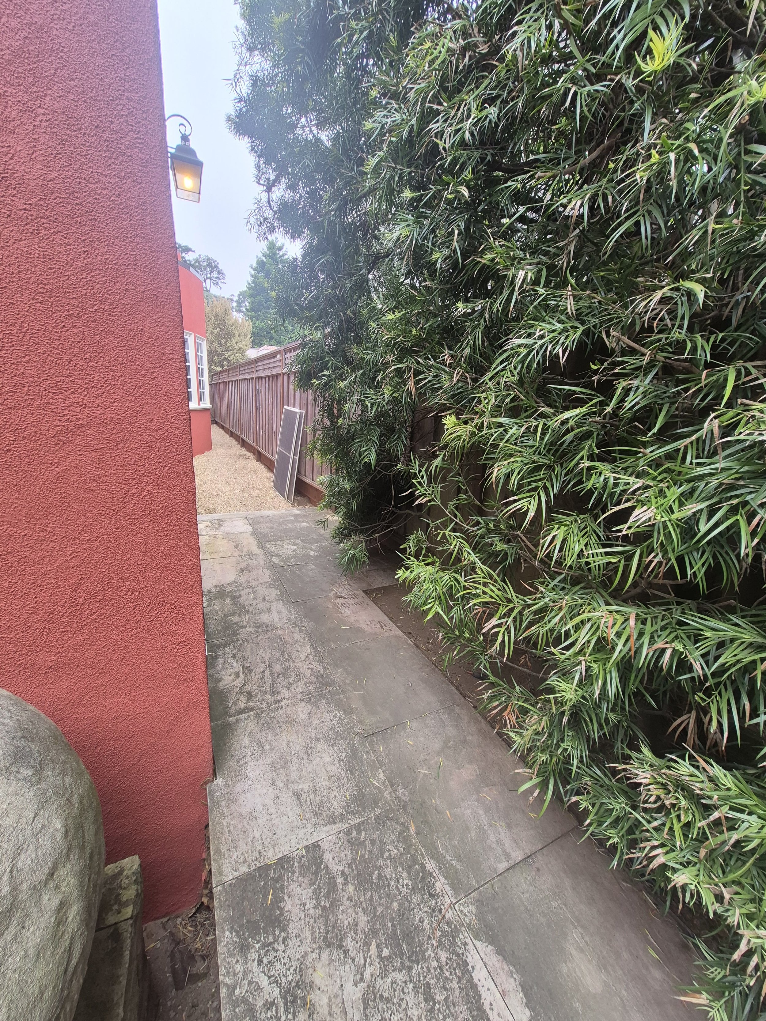 Pro-Realty Eco Cleaning Solutions San Francisco Bay Area (114).jpg