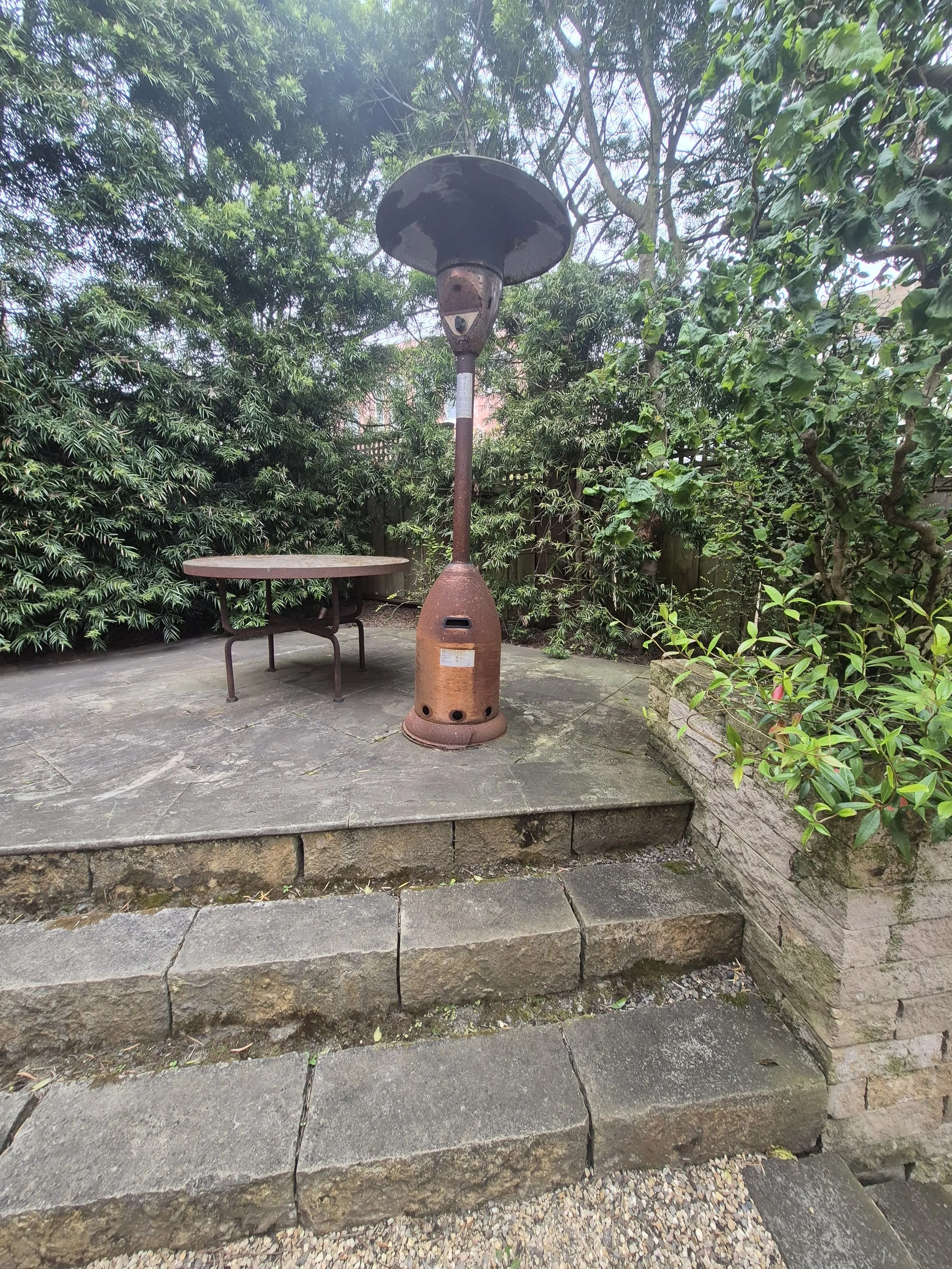 Pro-Realty Eco Cleaning Solutions San Francisco Bay Area (113).jpg