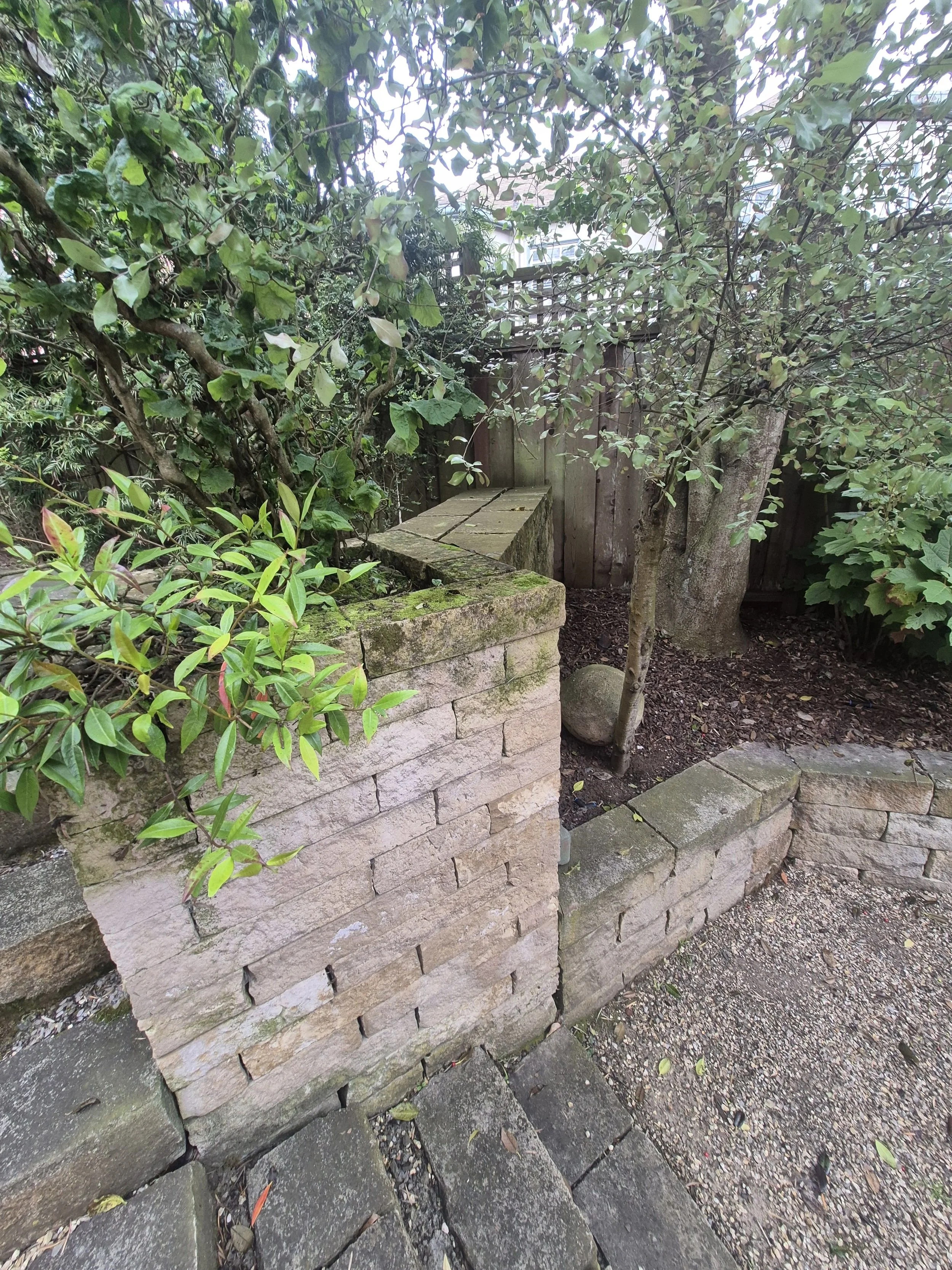 Pro-Realty Eco Cleaning Solutions San Francisco Bay Area (117).jpg