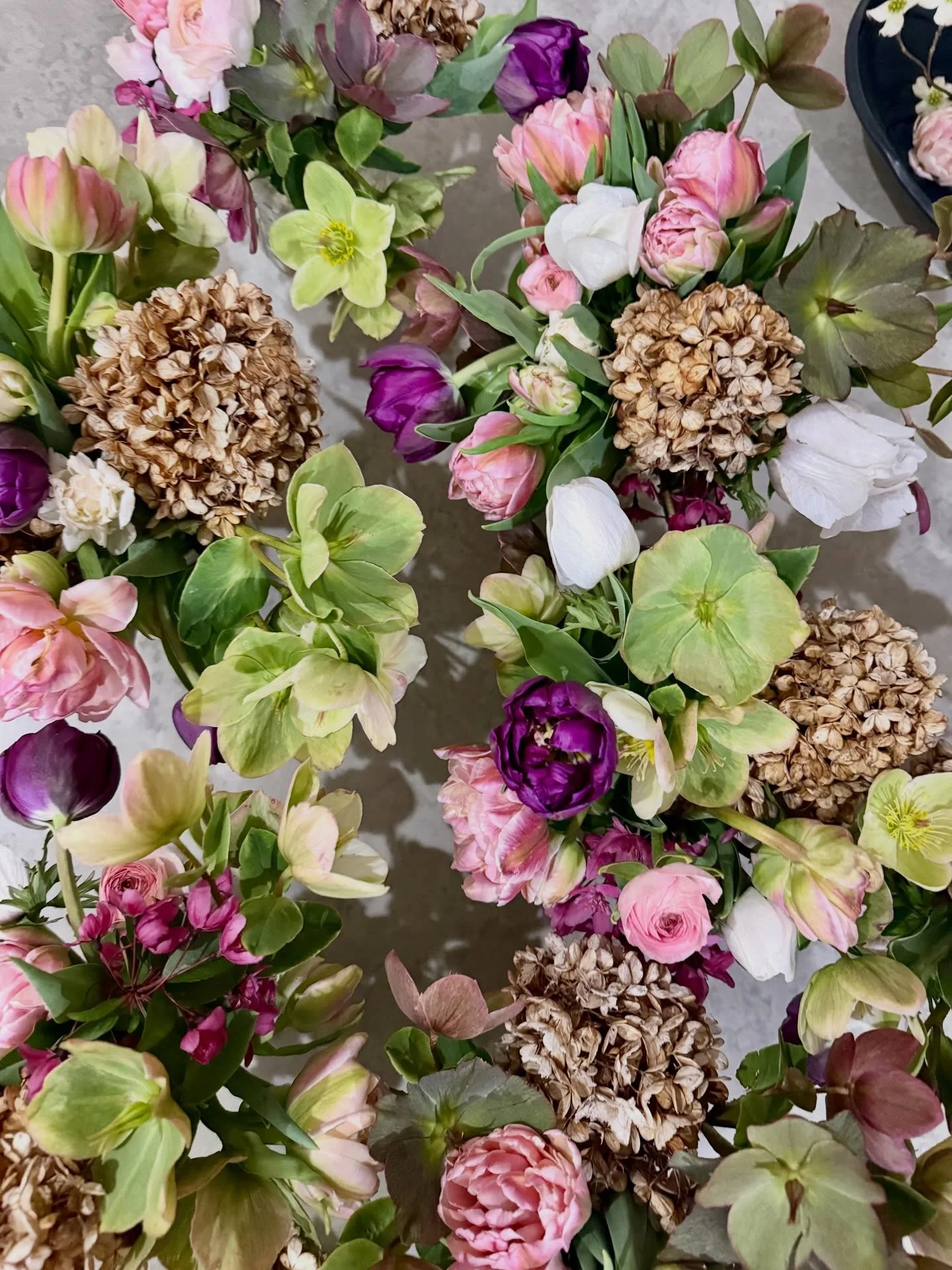 We&rsquo;re so happy to welcome you back to the stand this weekend! The season continues to gently unfold here.

Flower Stand Hours This Weekend
Friday &ndash; Sunday 9:00 AM until dusk

This weekend at the stand you&rsquo;ll find:

&bull; Petite pap