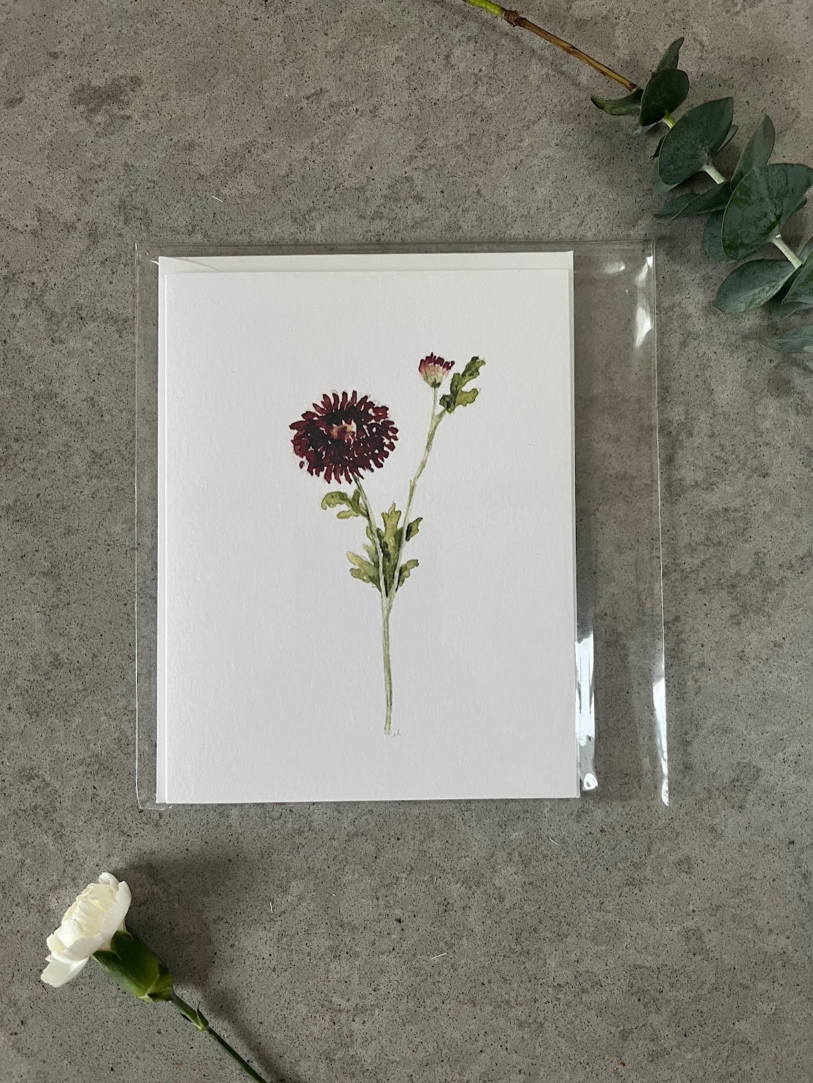 Burgundy Stem.jpg