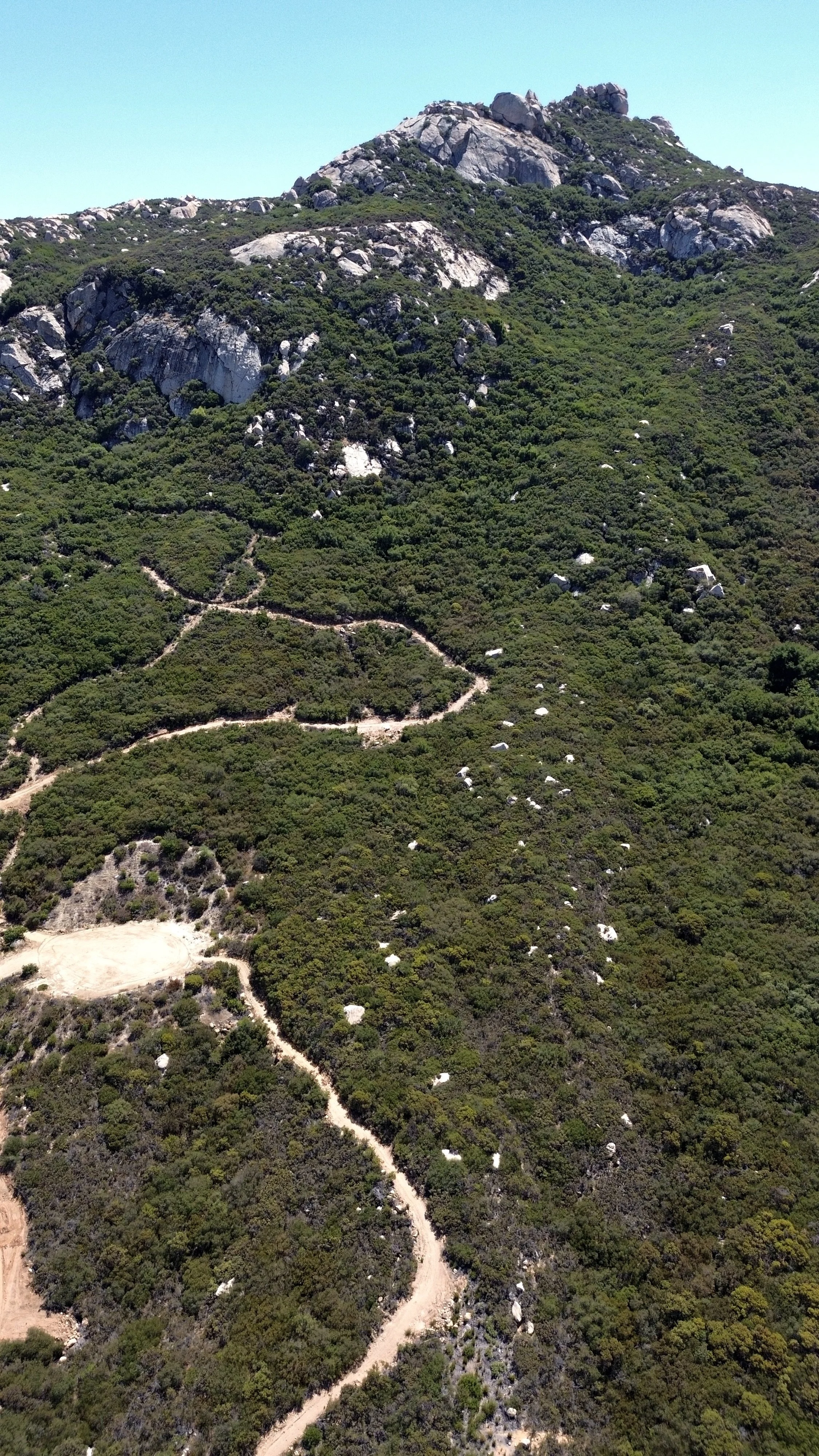 DJI_0126.jpg