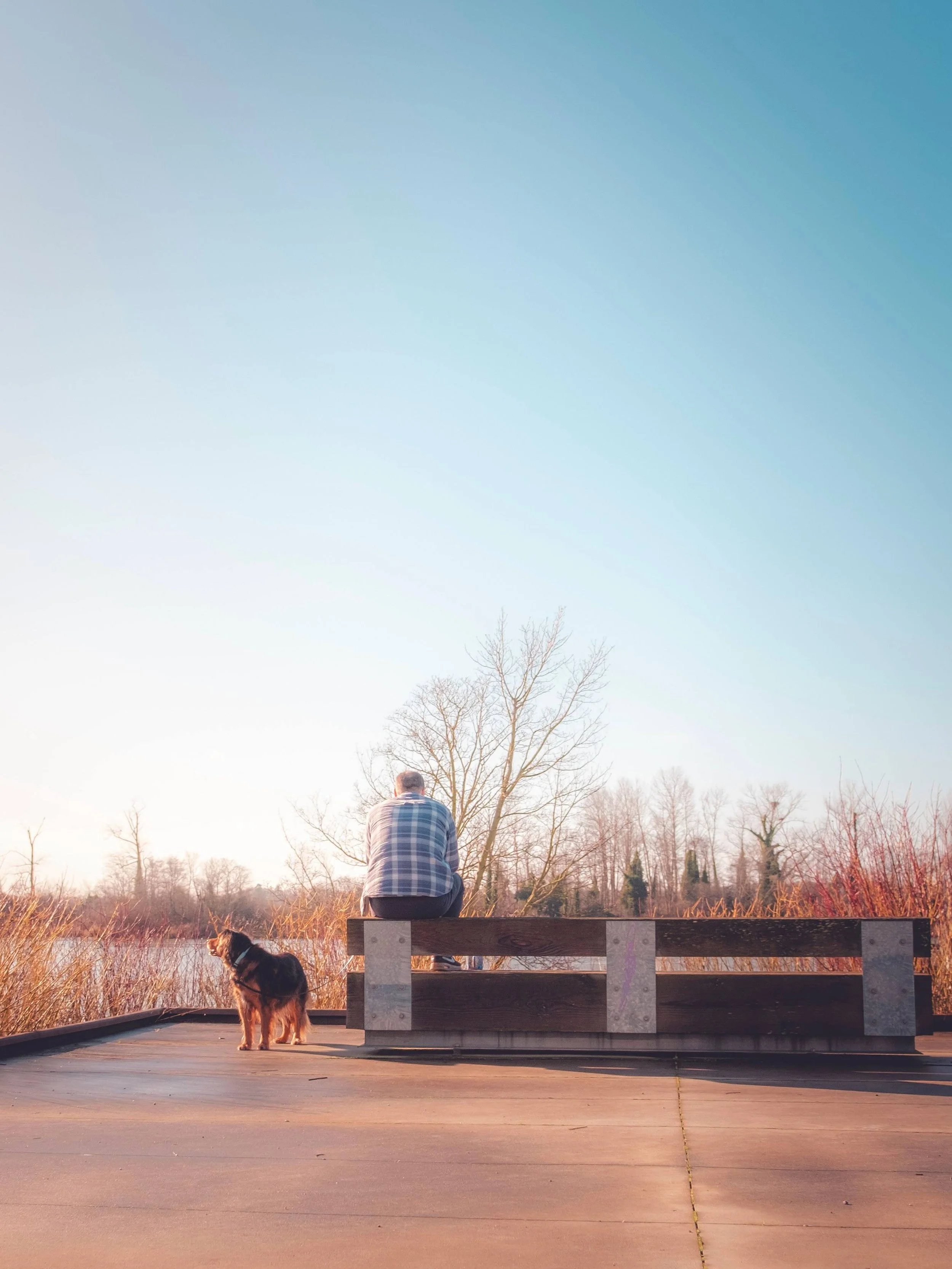 aidan-chan-photo-london-landing-steveston-man-sitting-dog.jpeg