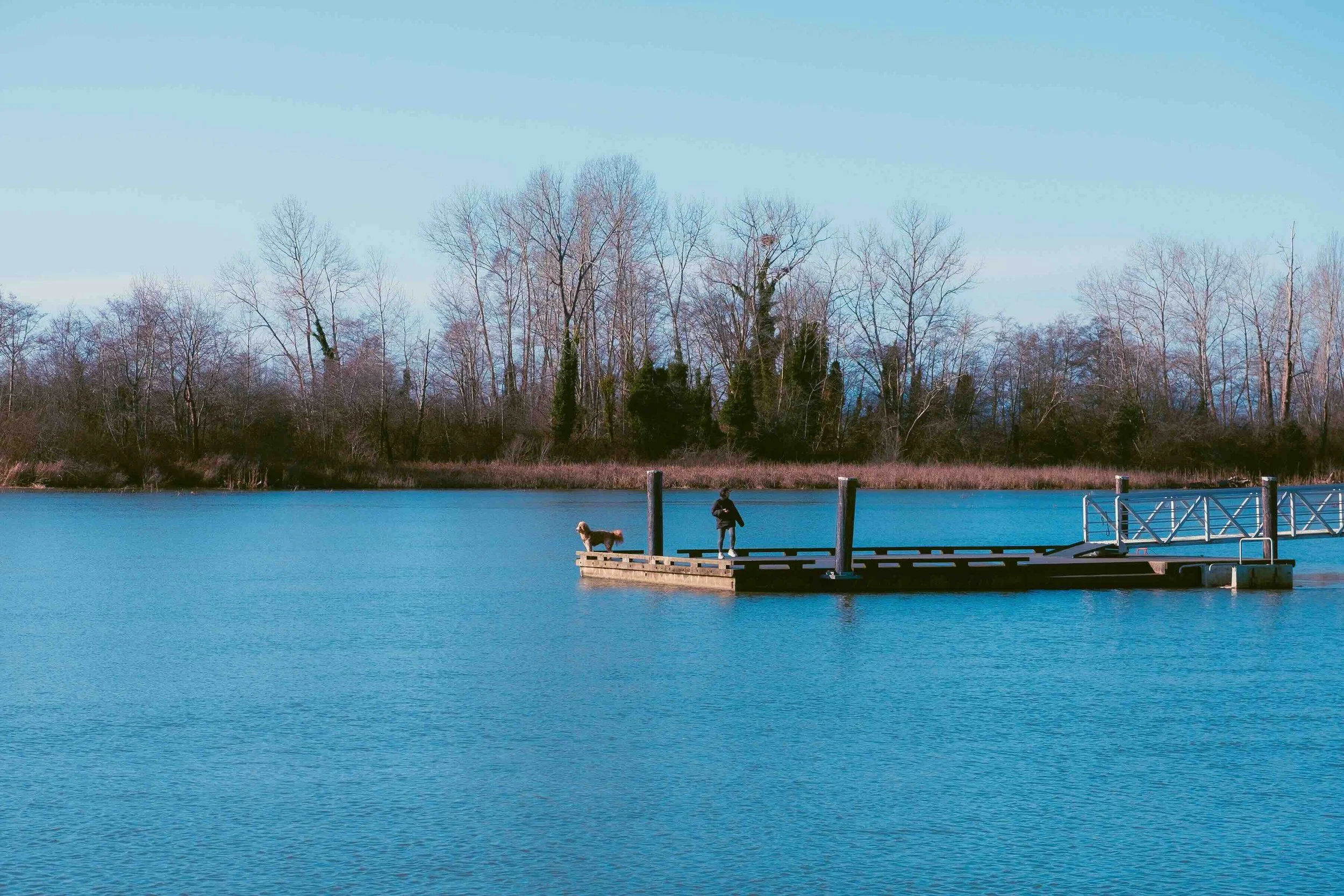 aidan-chan-photo-london-landing-steveston-lady-and-dog-dock.jpeg