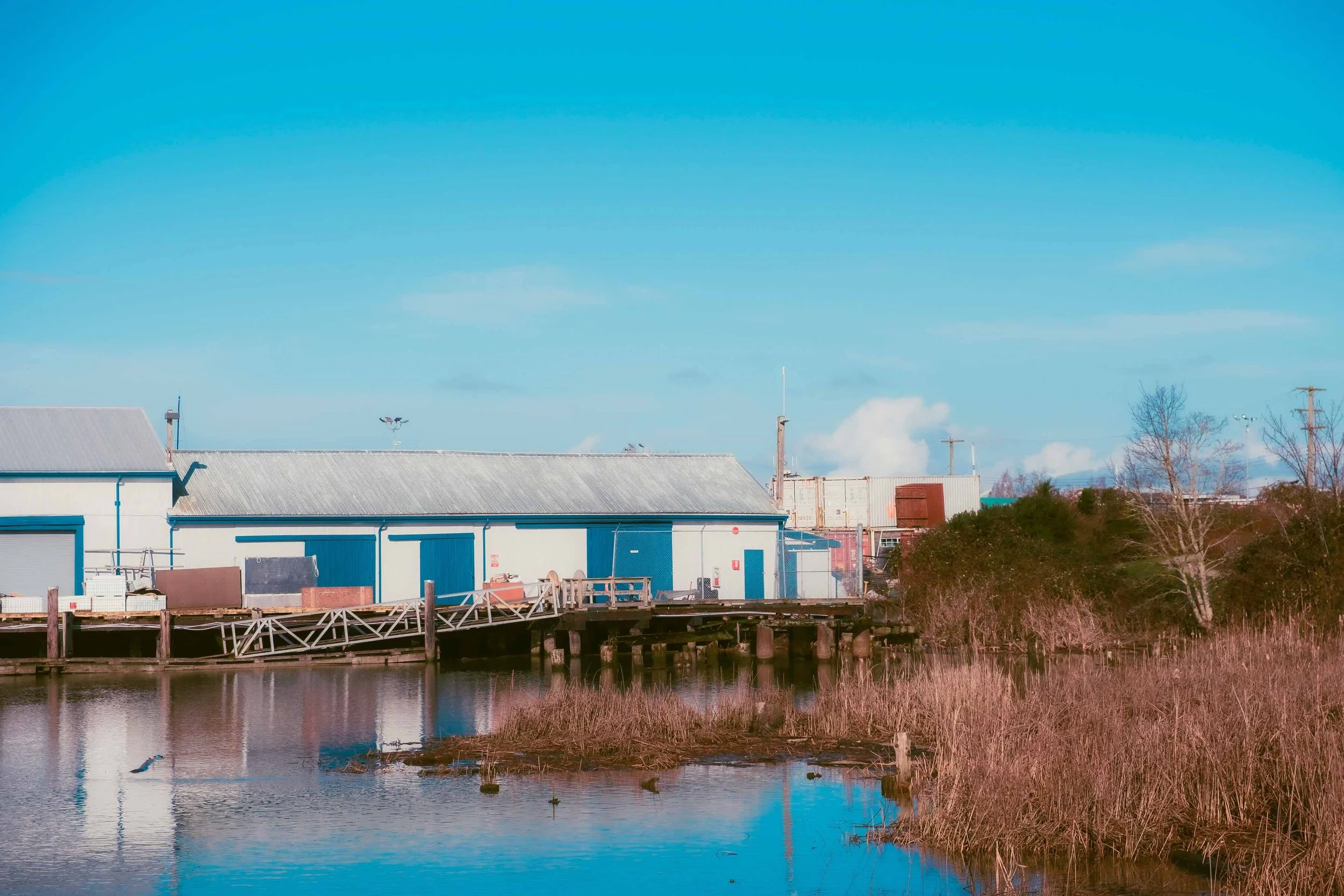 aidan-chan-photo-london-landing-steveston-building-containers.jpeg