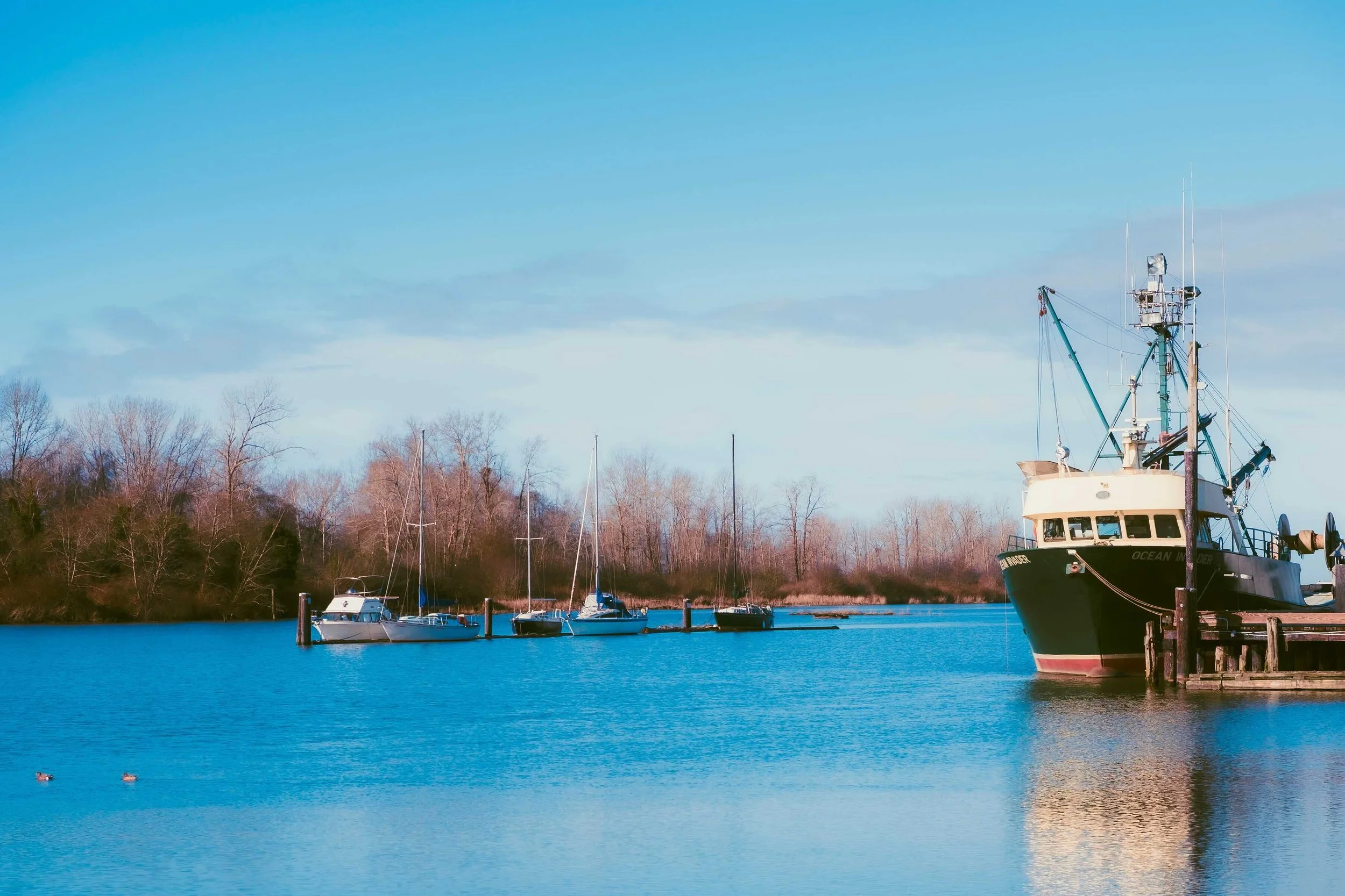 aidan-chan-photo-london-landing-steveston-boats.jpeg