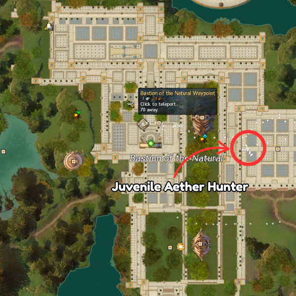 Juvenile_Aether_Hunter_Map.png