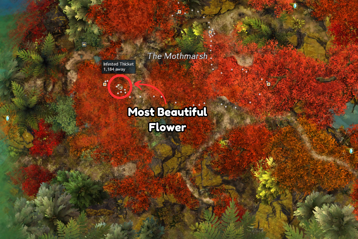 FlowerGregoriosLoc.png