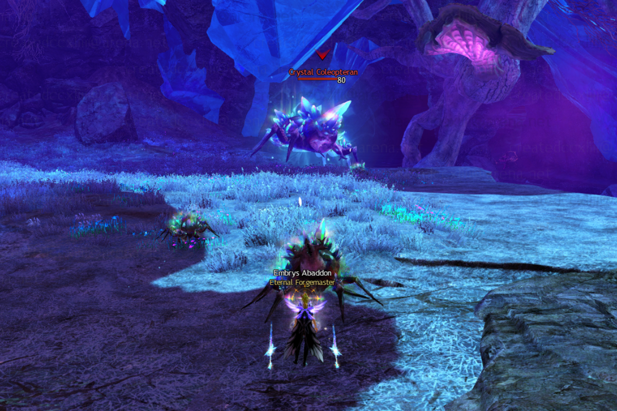 Crystal Coleo Nidus.png