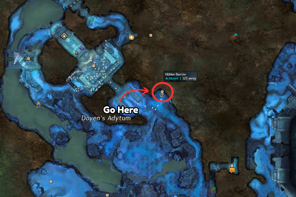 Coleopteran JP.png