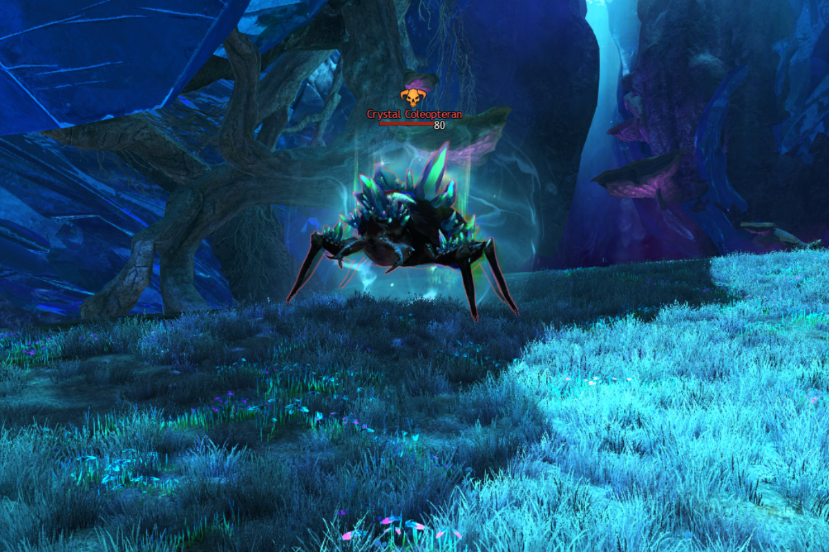 Coleopteran Nidus.png