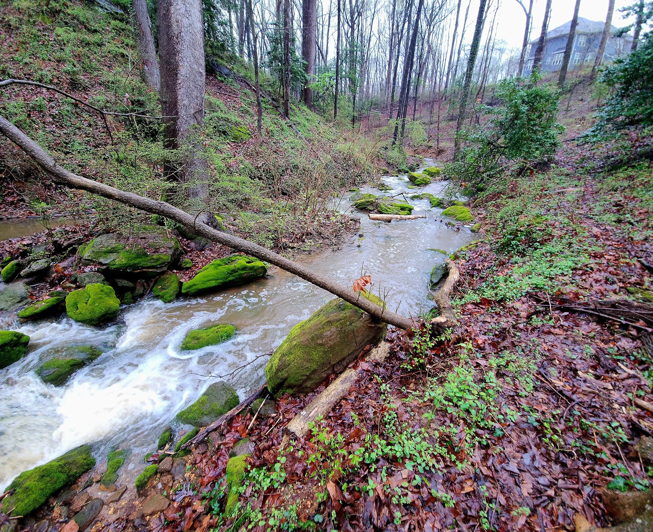 Bringing Back Jabez Branch