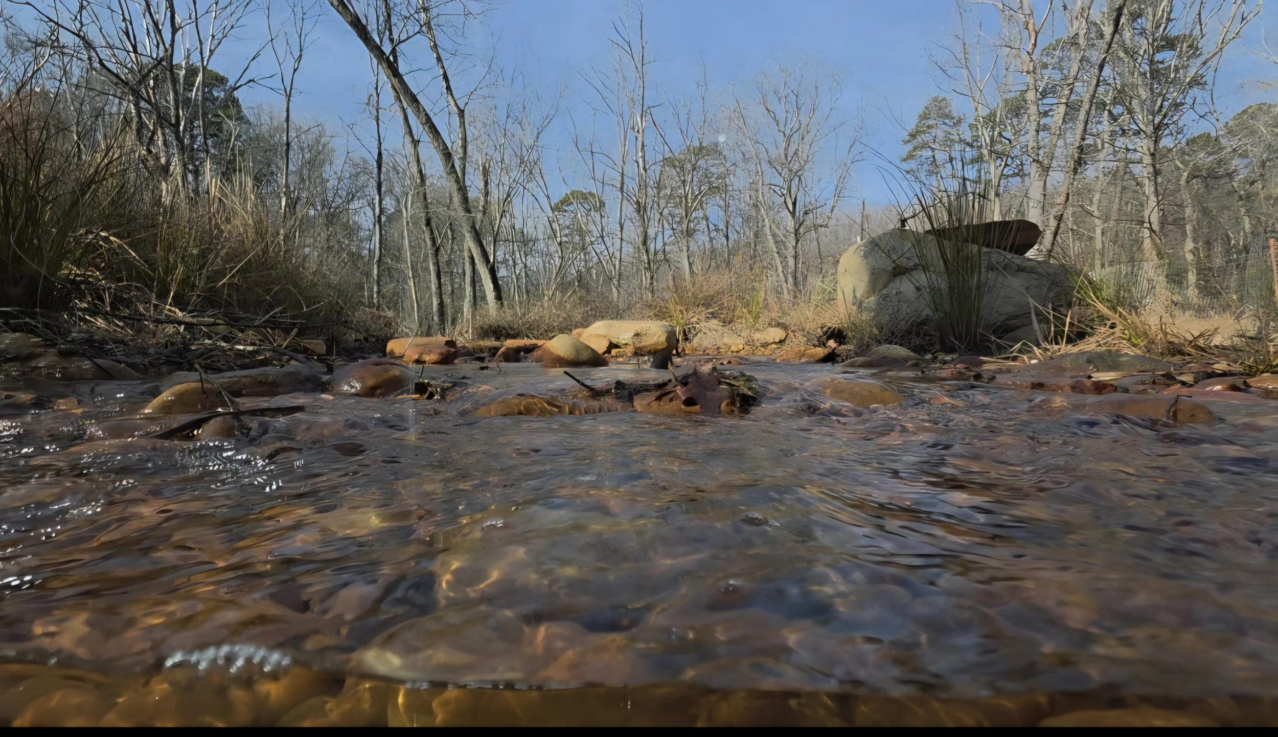 Restoring Jabez Branch