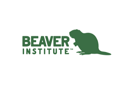 beaver+institute+logo.png