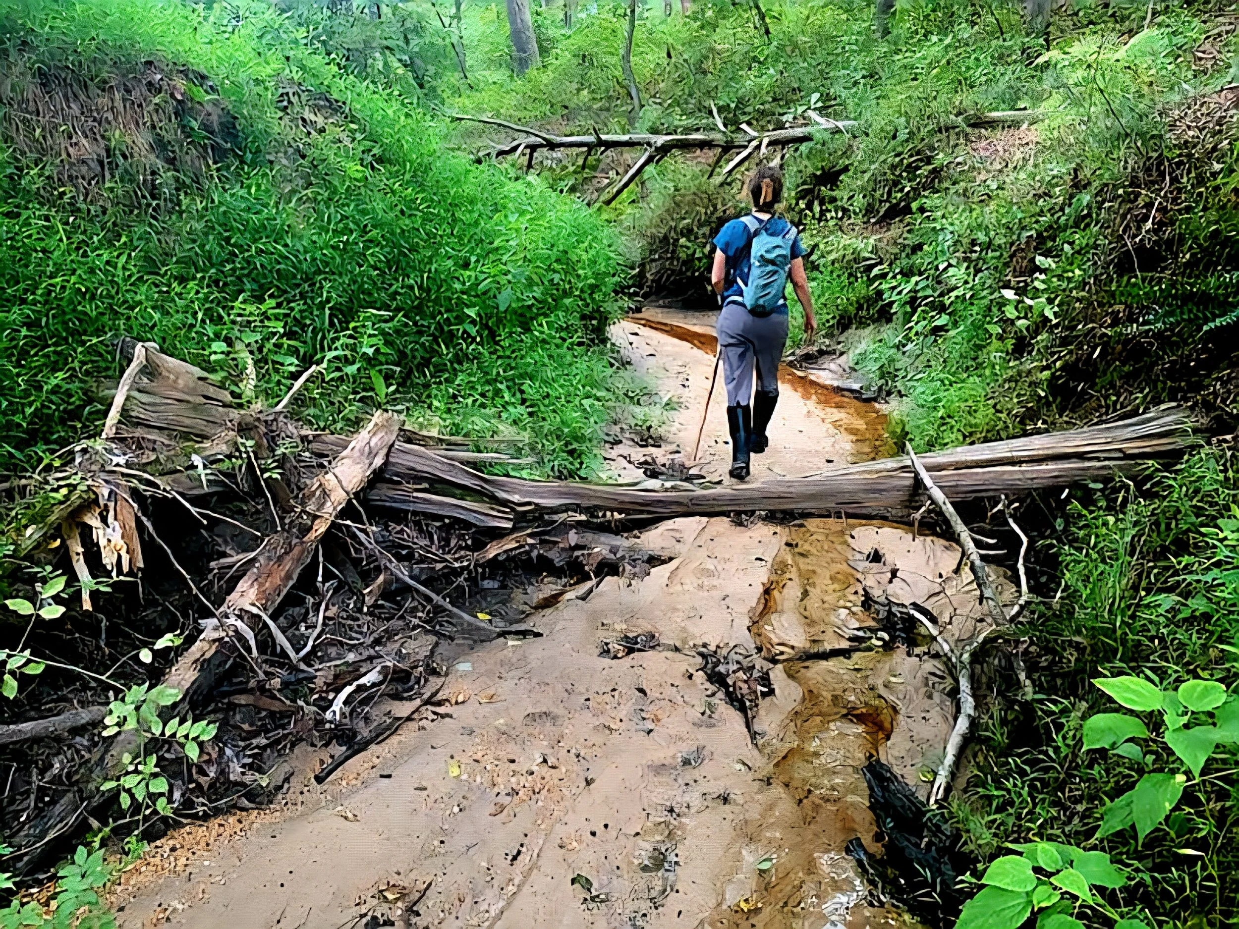Center for Ecosystem Recovery