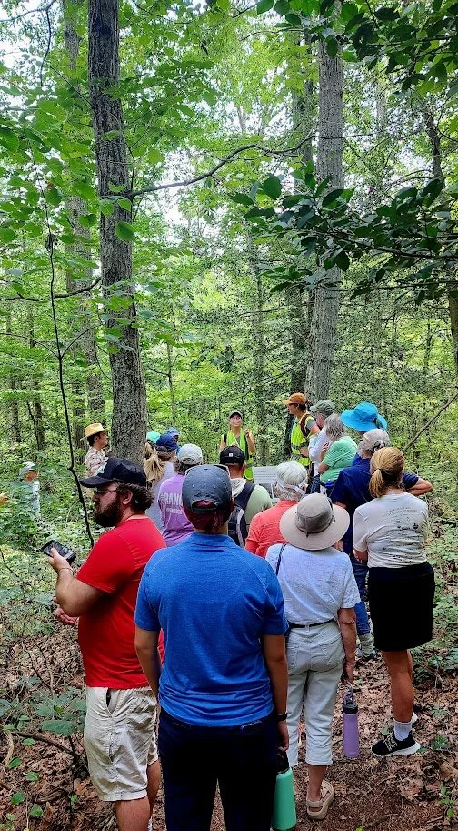 Following the bog interpretive trail.