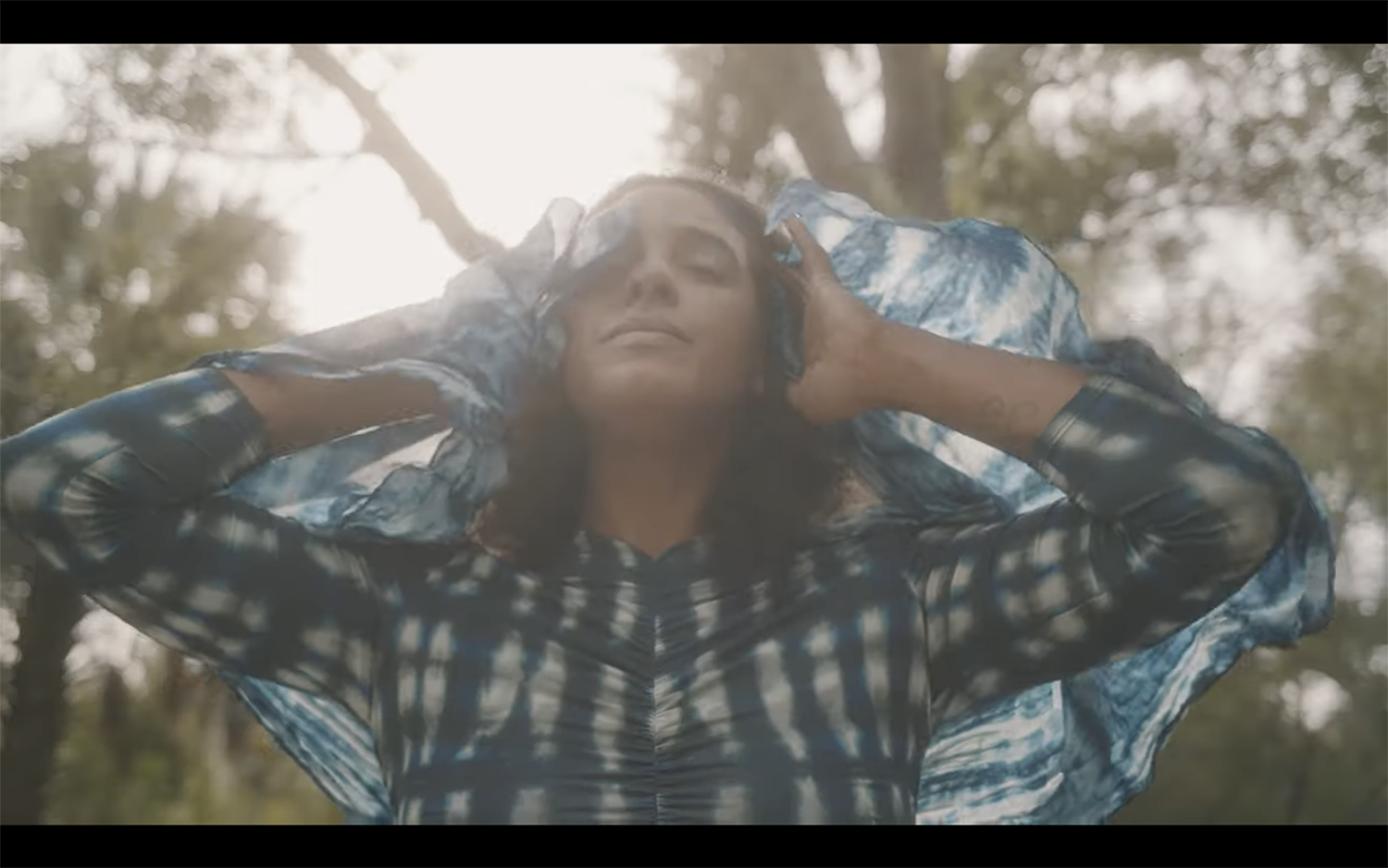 Screen Shot 2024-07-09 at 1.01.50 PM.png