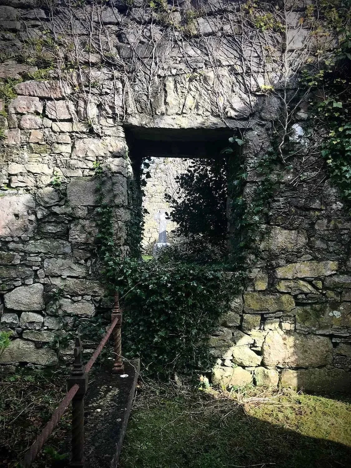 Old stone wall covered in ivy with a small opening evoking resilience and healing in scar tissue bodywork