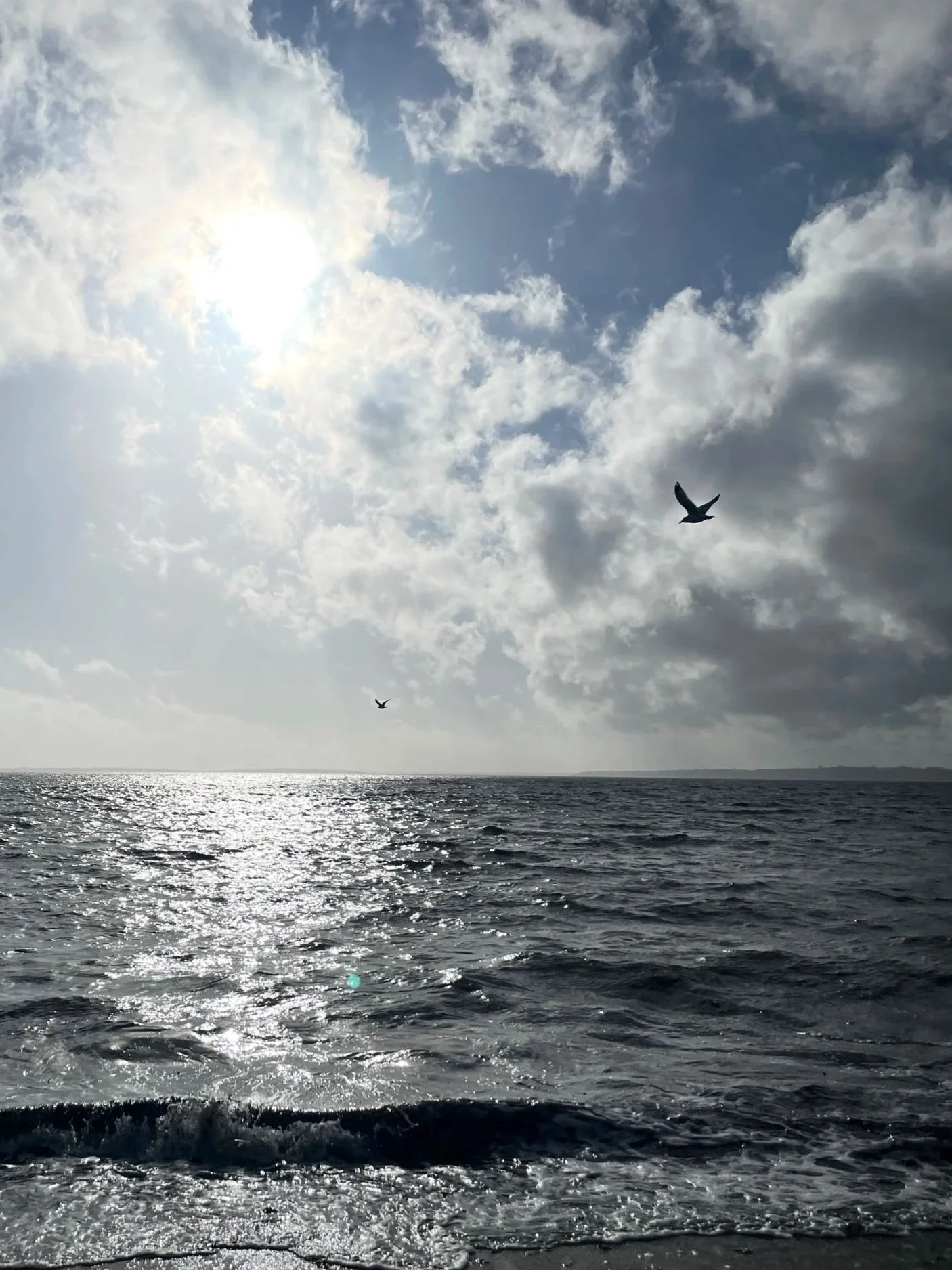 `Sunshine through clouds, two birds over Lake Ontario Rochester NY evoking the serenity and aliveness felt in TRE® sessions.
