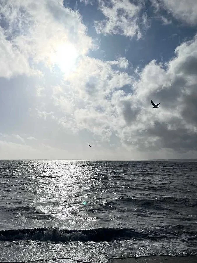 `Sunshine through clouds, two birds over Lake Ontario Rochester NY evoking the serenity and aliveness felt in TRE® sessions